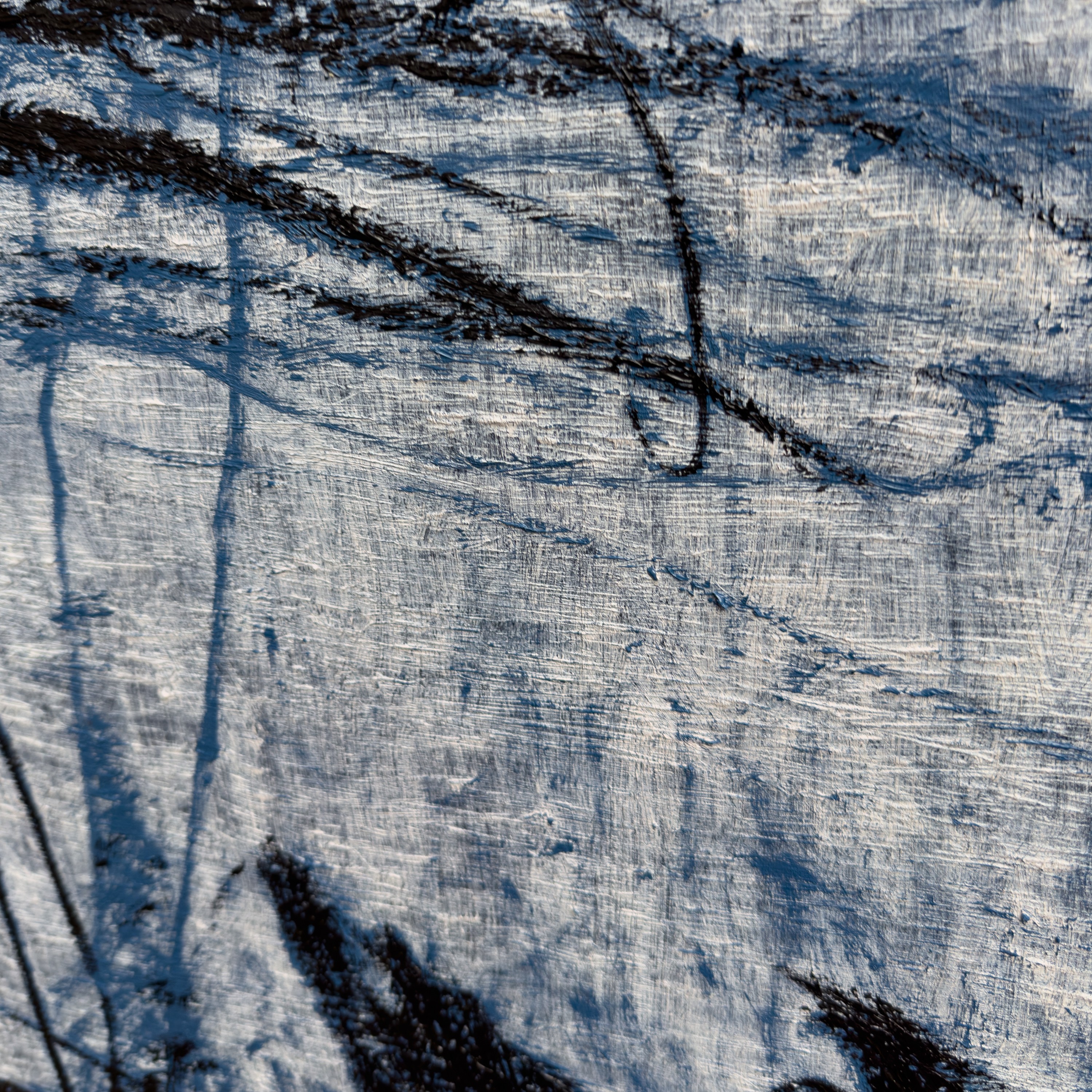A textured close-up of a light surface marked by dark, organic lines and shadows.
