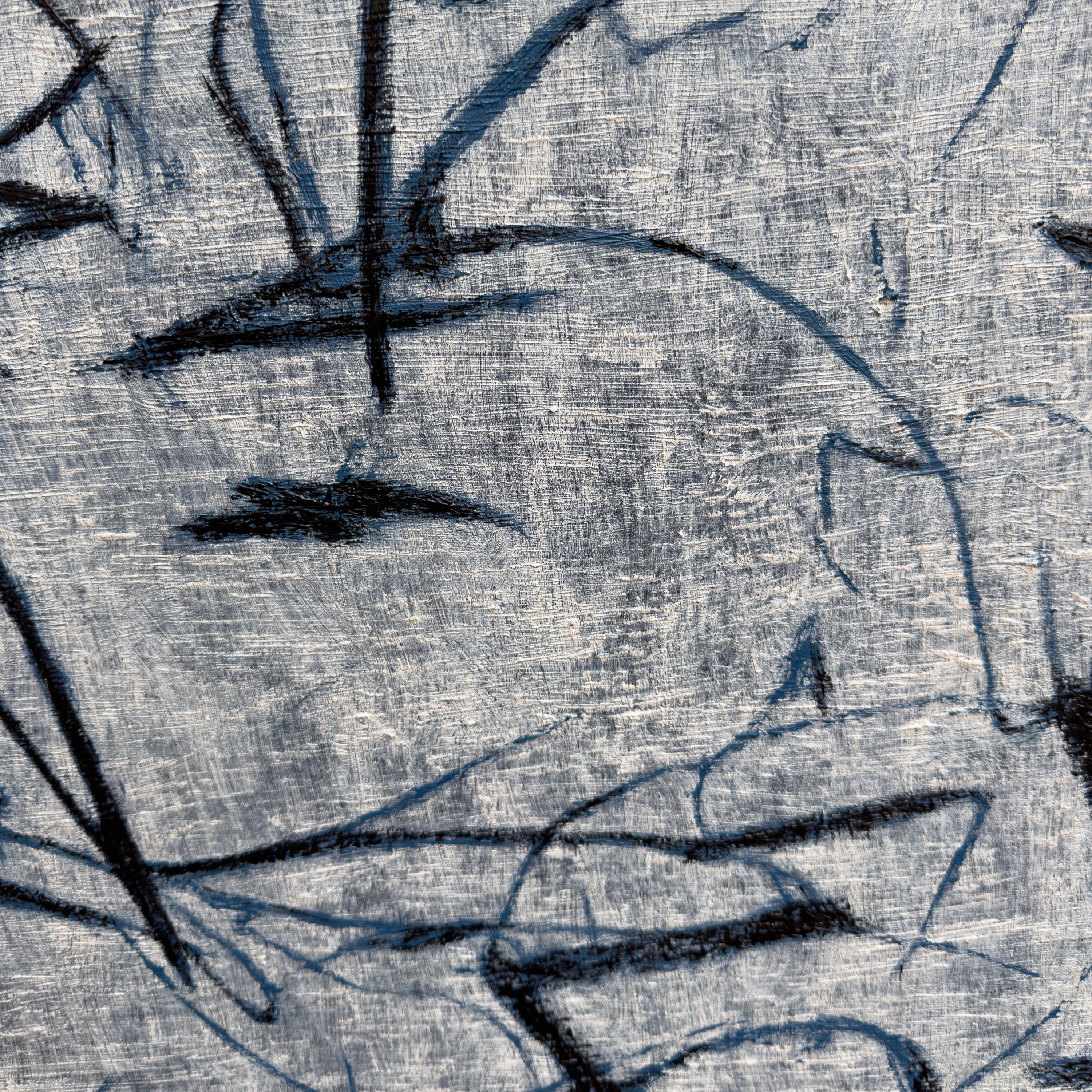 A textured close-up of a light surface marked by dark, organic lines and shadows.