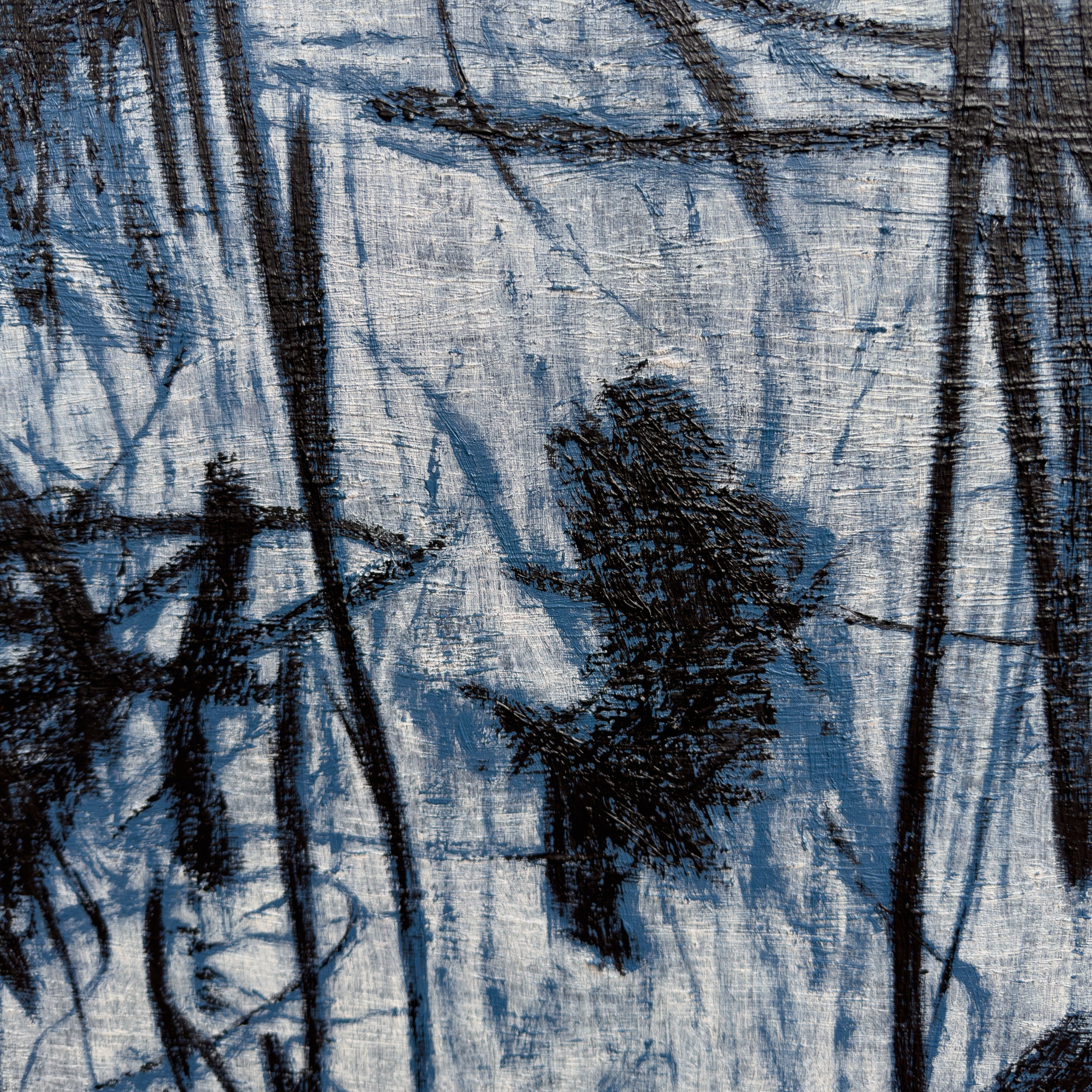 A textured close-up of a light surface marked by dark, organic lines and shadows.