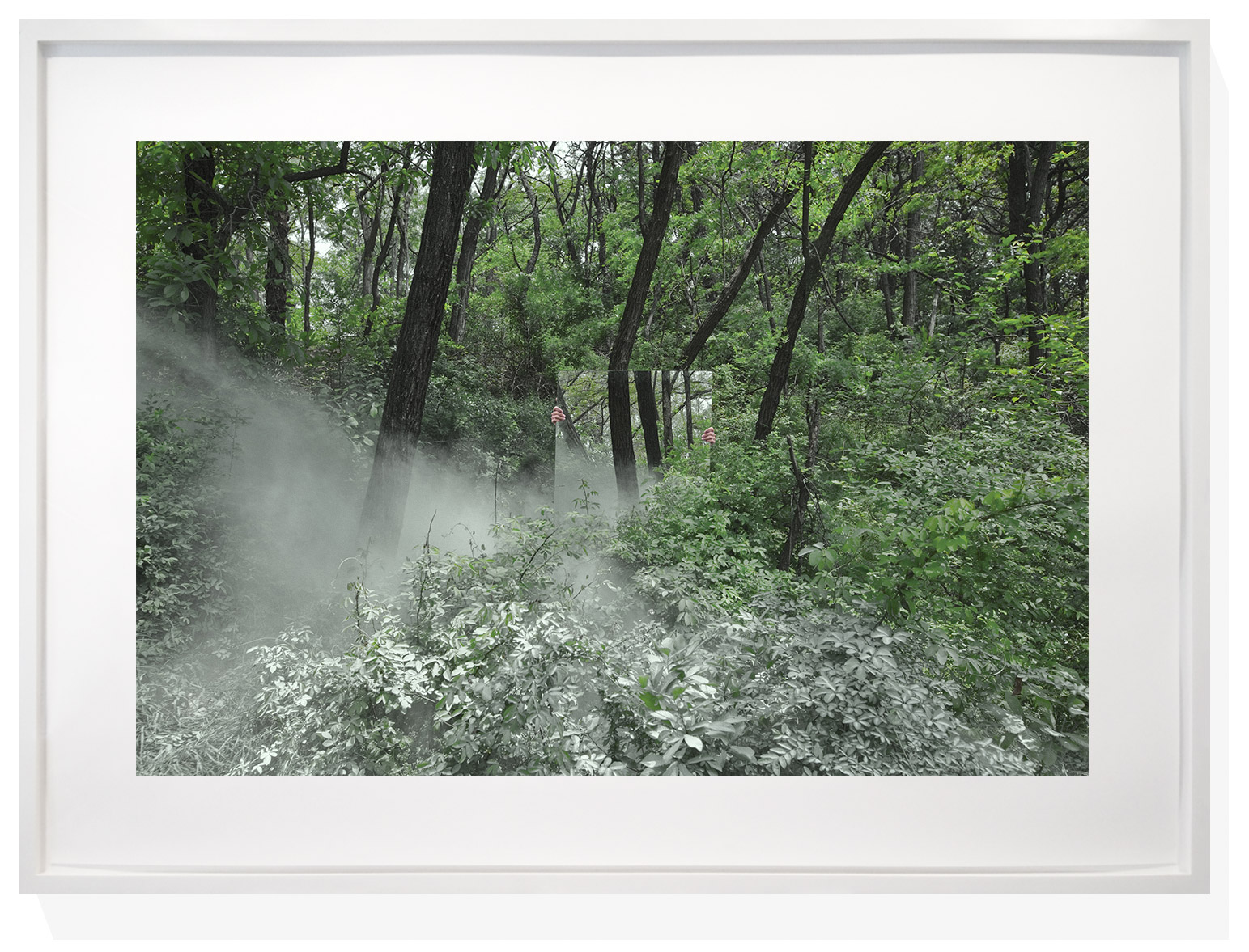 A misty forest scene featuring a small mirror held by unseen hands.