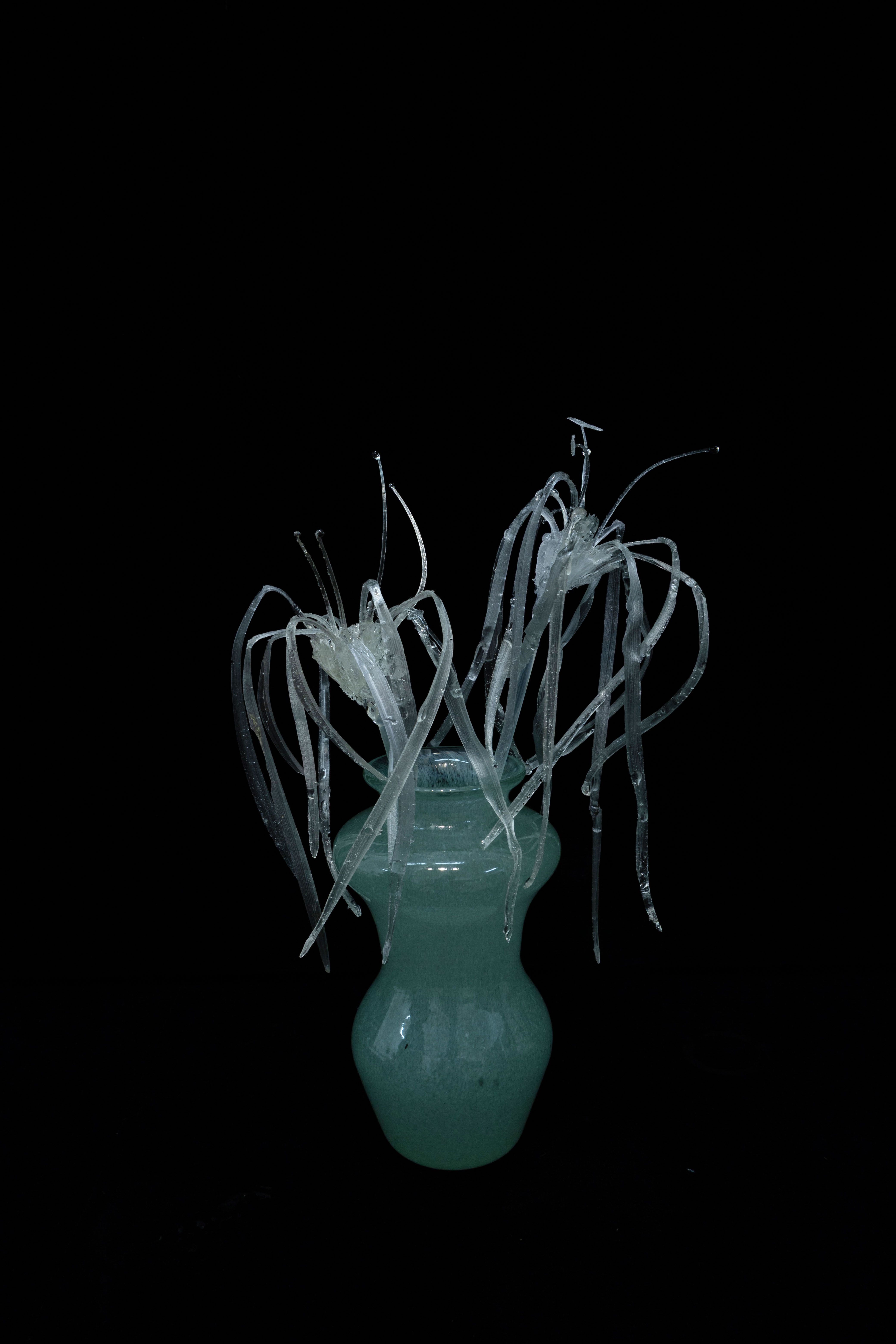 Hybrid No. 013 by Gloria Fan Duan, 2026