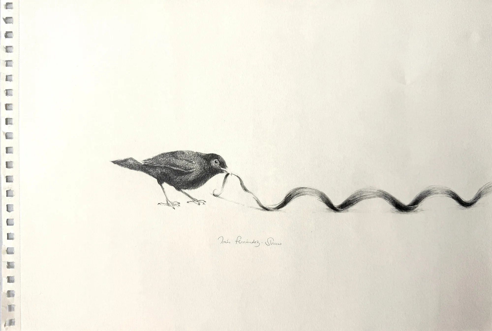 A drawing of a bird with a worm in its beak.