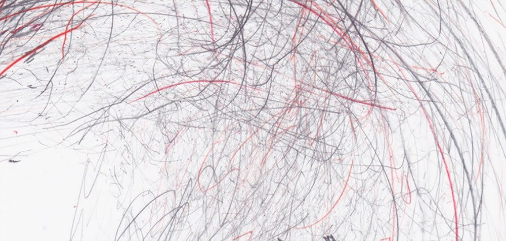 Screech of Ice Series 41