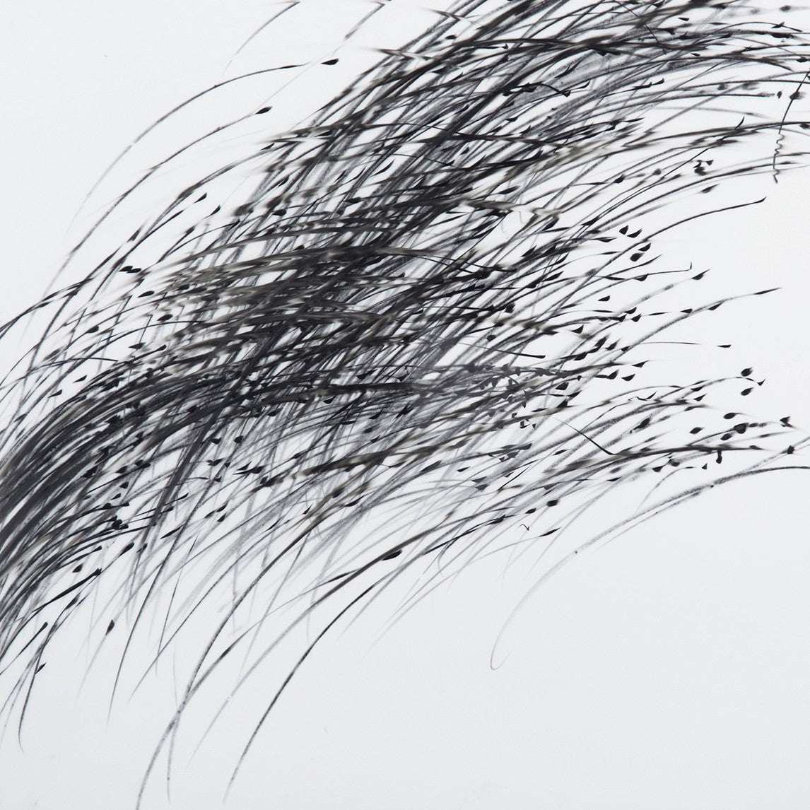 A black and white drawing of a bunch of birds flying in the air.