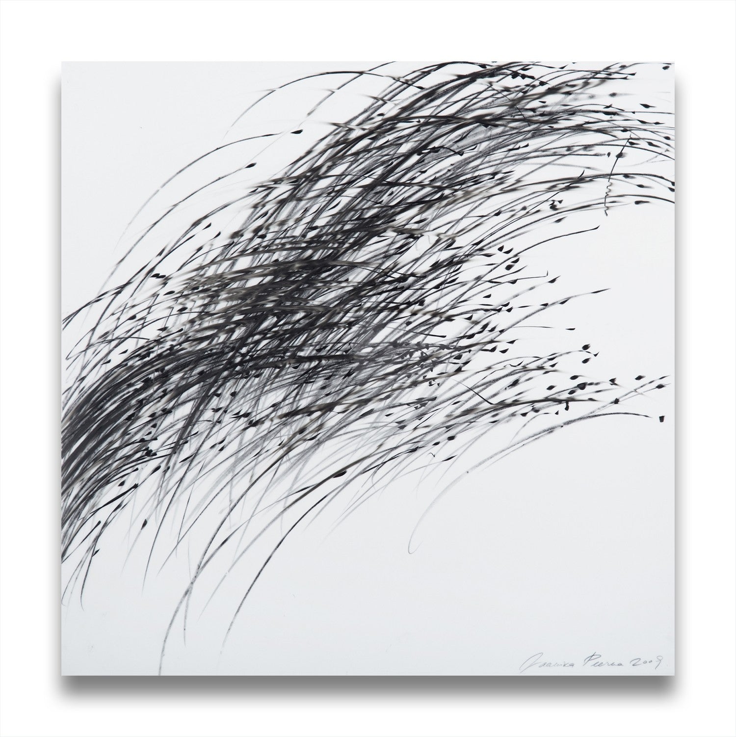 A black and white drawing of a bunch of birds flying in the air.