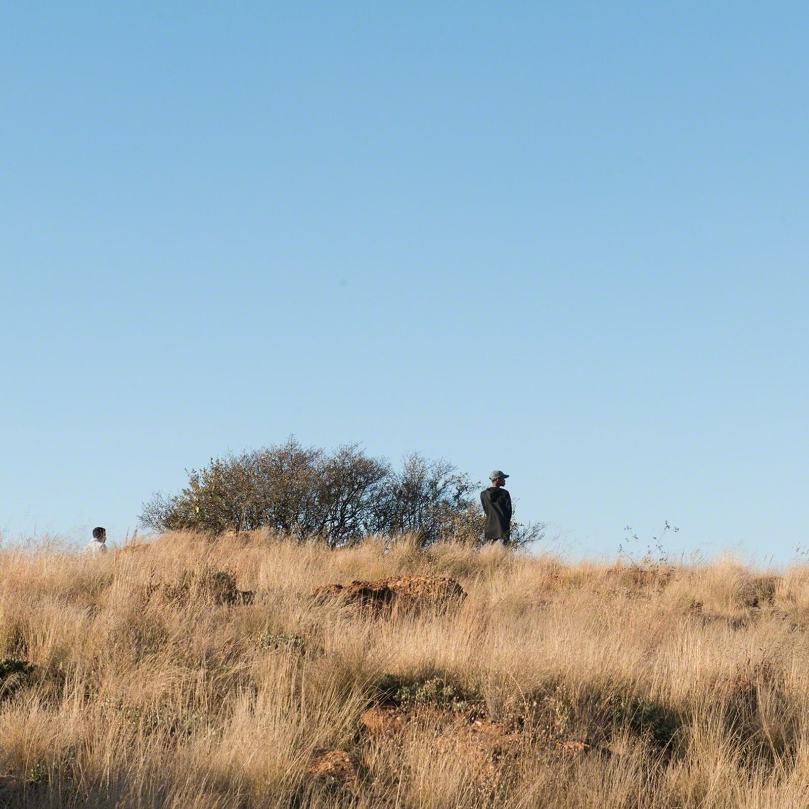 I am waiting for your signal Mama, Orlando West by Jabulani Dhlamini, 2018