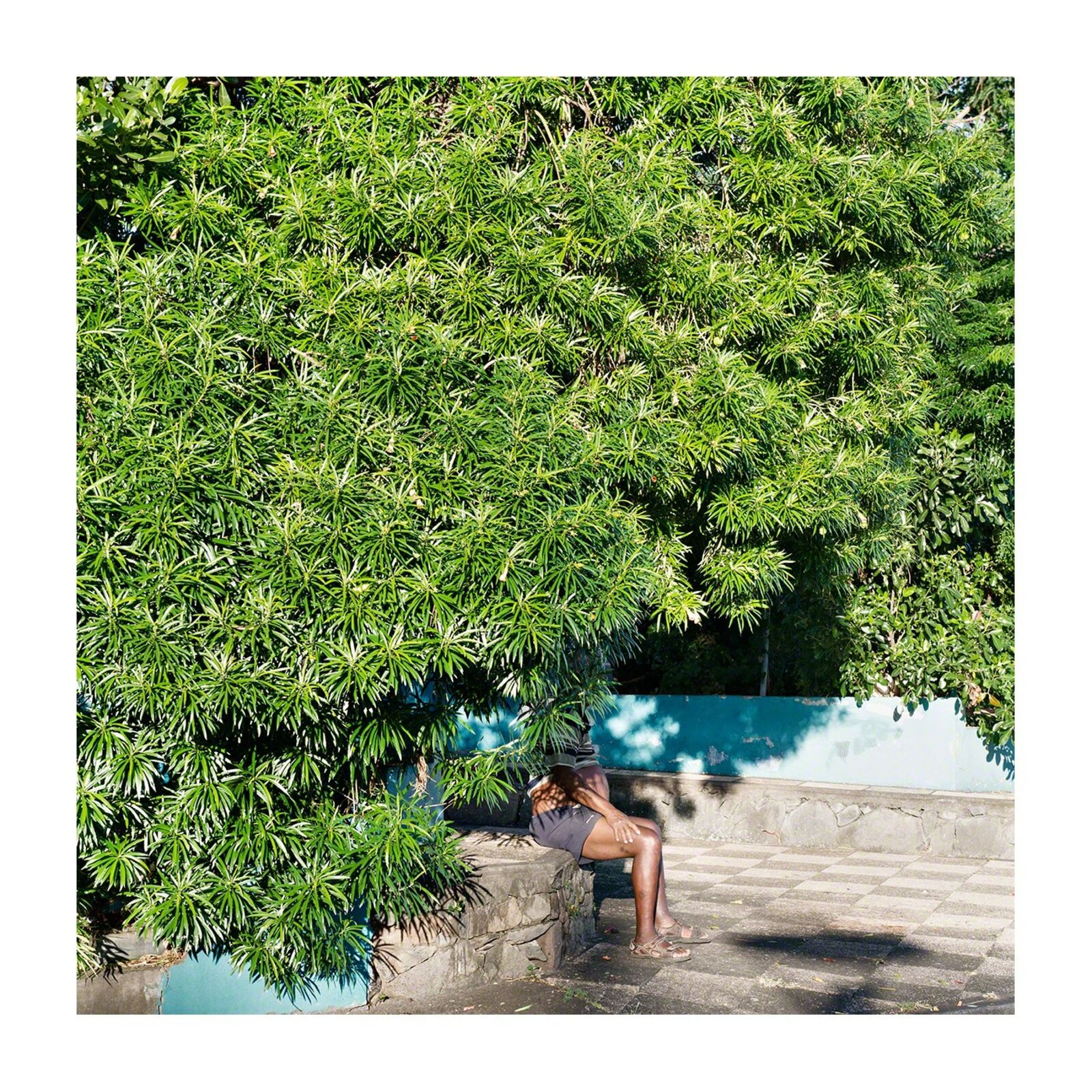 A woman sitting on a bench under a tree.