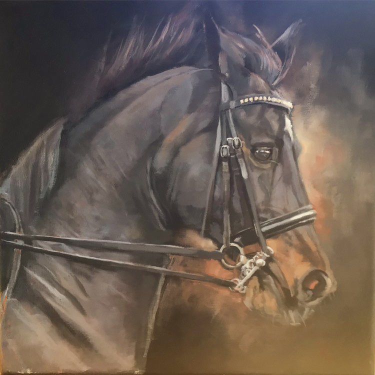 Dressage Horse Study by Jackie Hardman, 2018