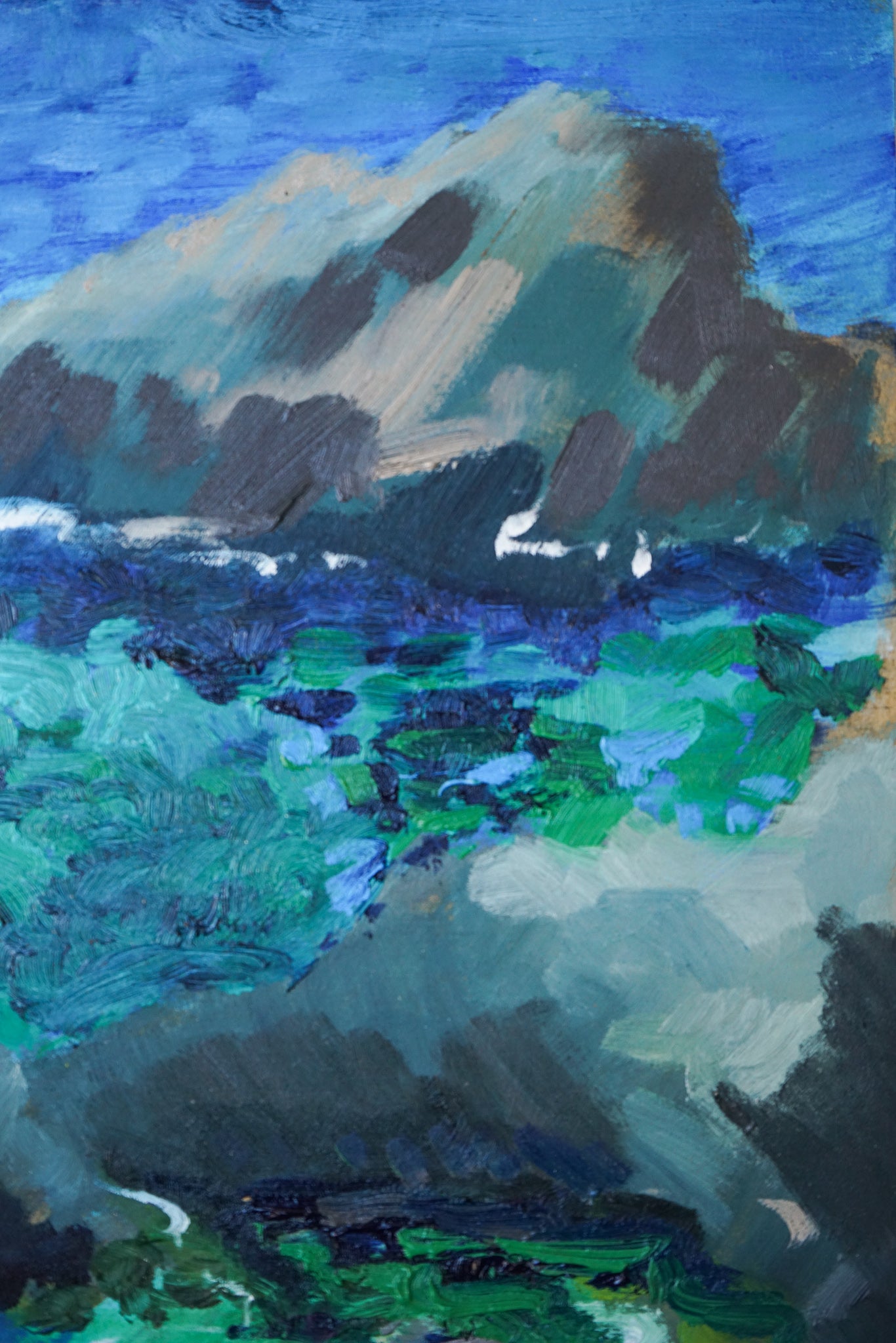 Artwork by Jackson, Fosca Bay - Costa Brava, Made of Oil on board 