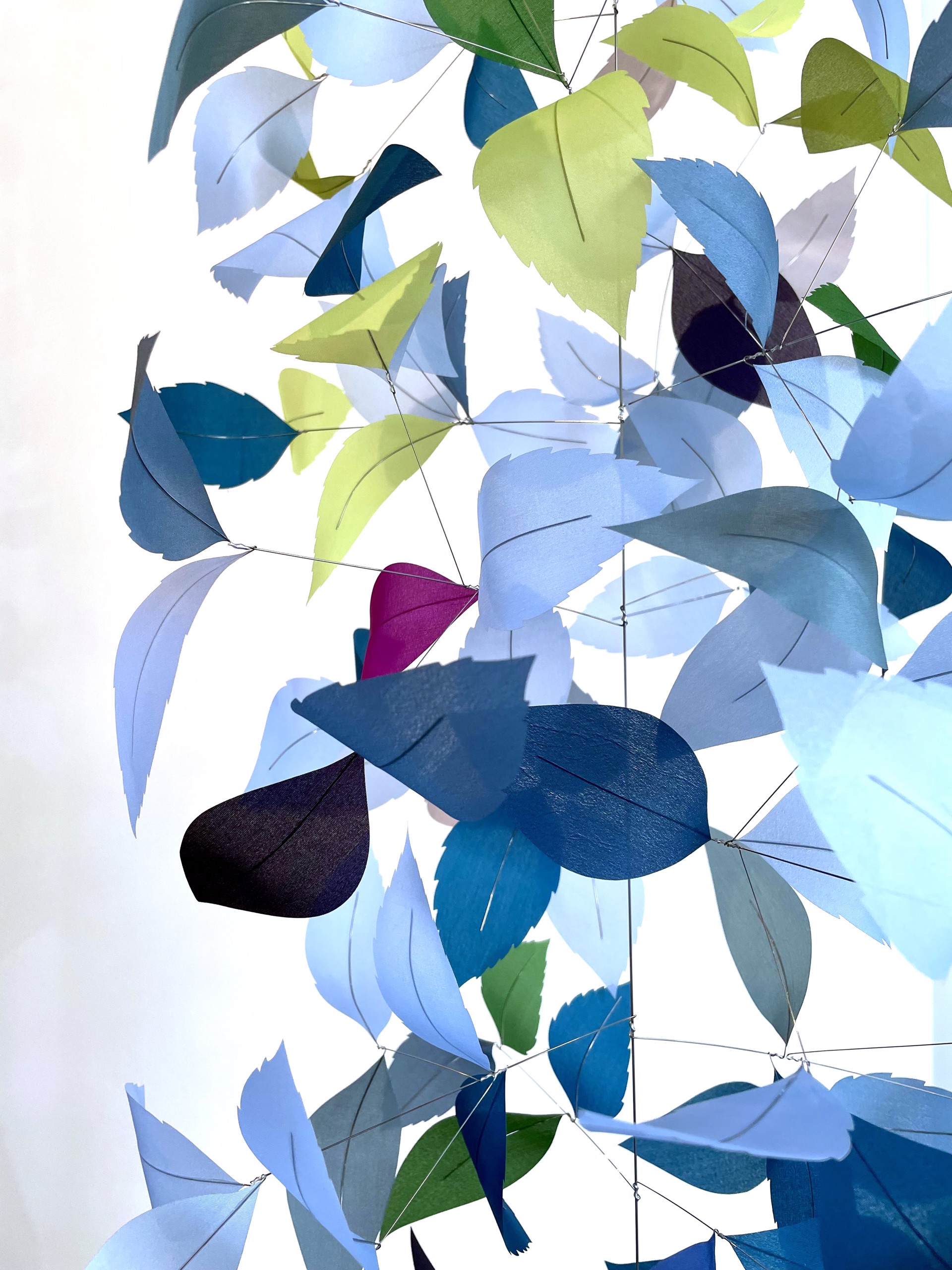 A bunch of blue and green leaves hanging from a string.