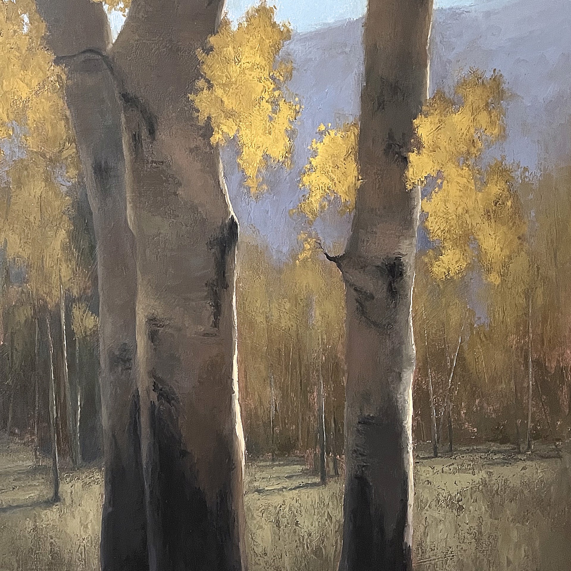 A painting of three aspen trees in a field with mountains in the background.