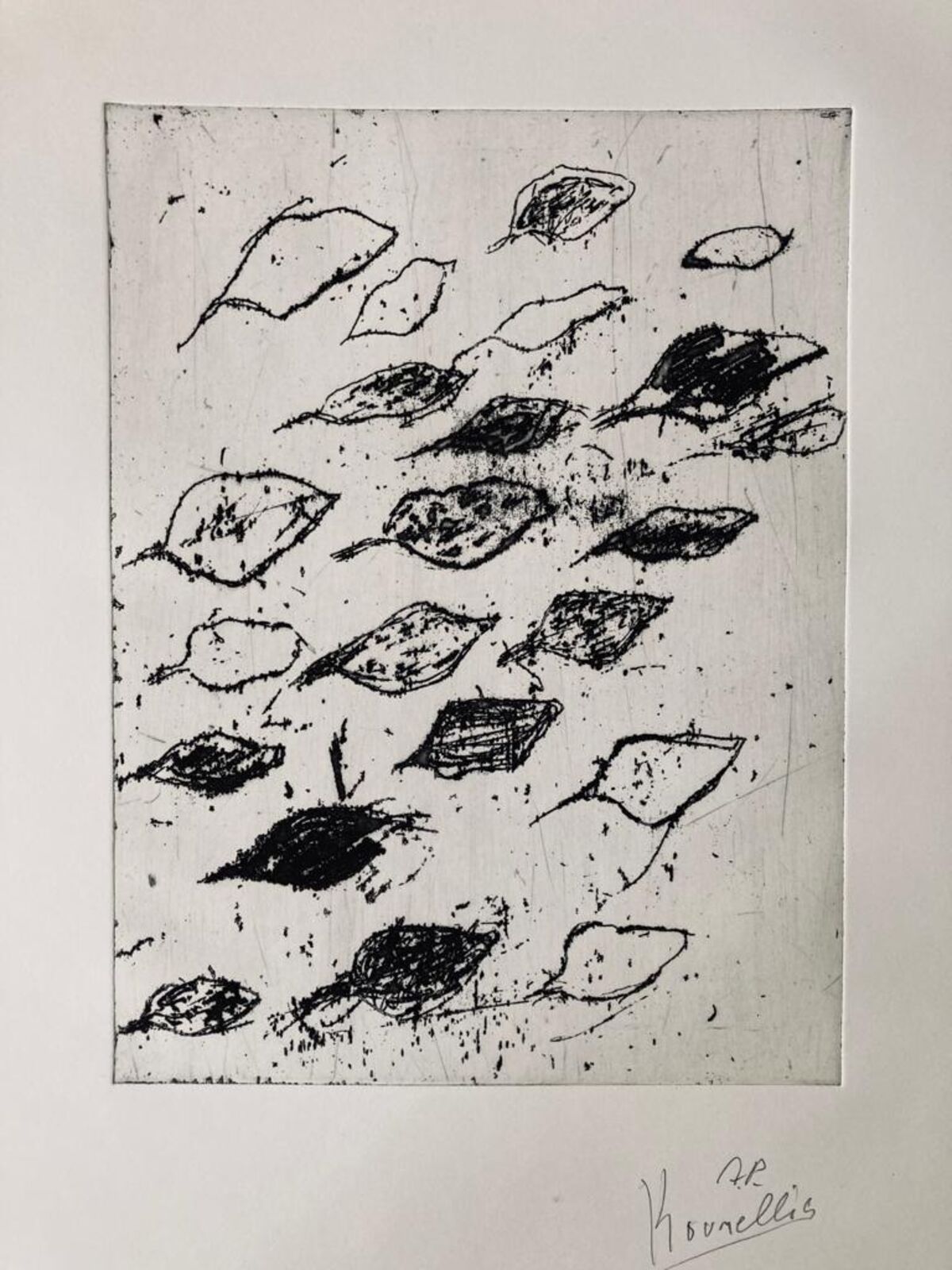 A black and white drawing of leaves on a white background.