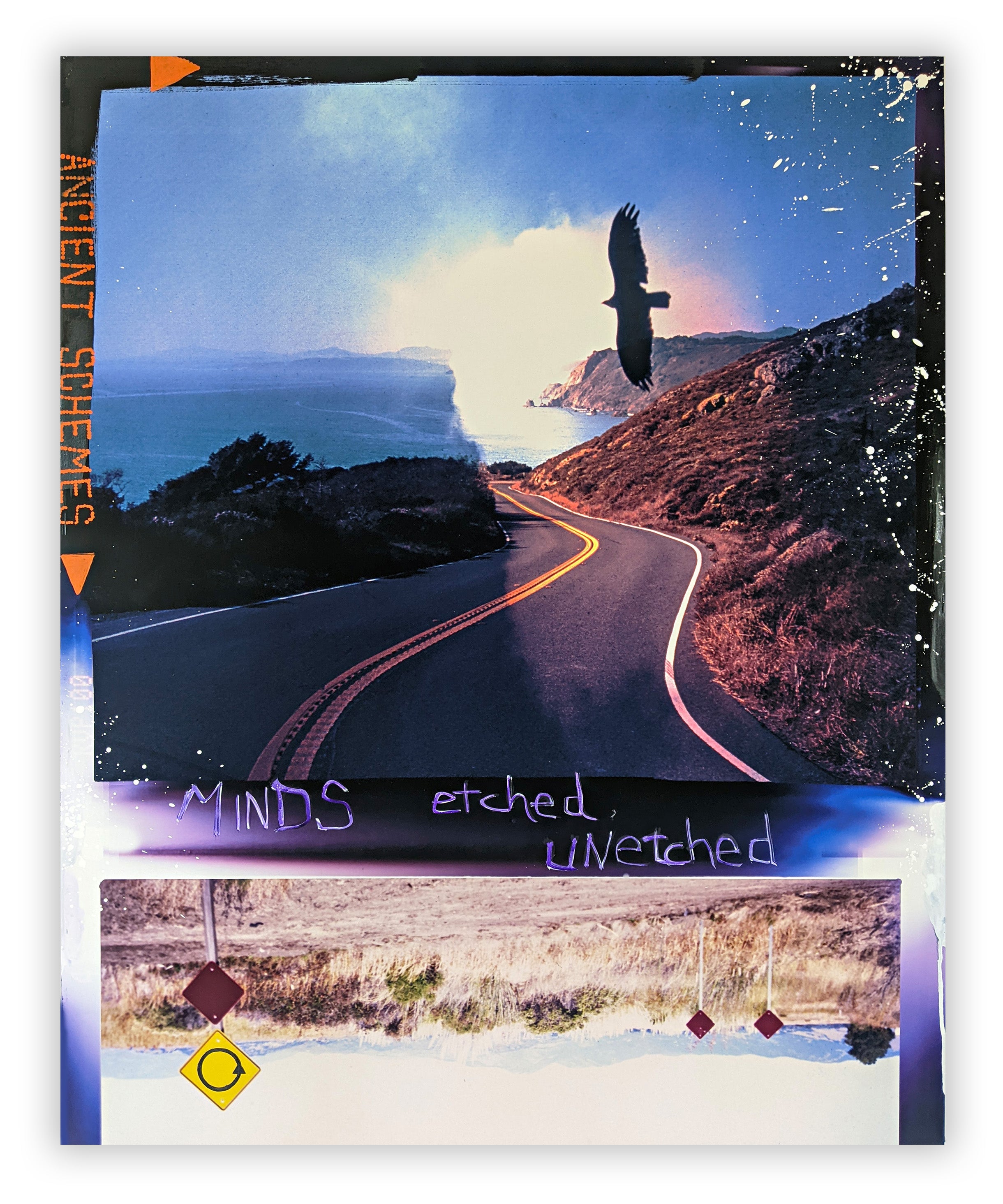 A collage of a road with a bird flying over it.