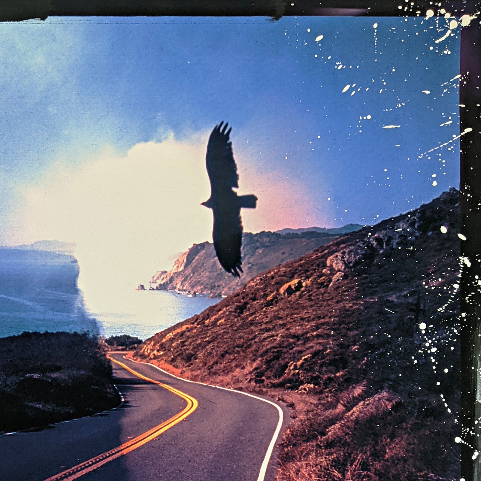 A collage of a road with a bird flying over it.