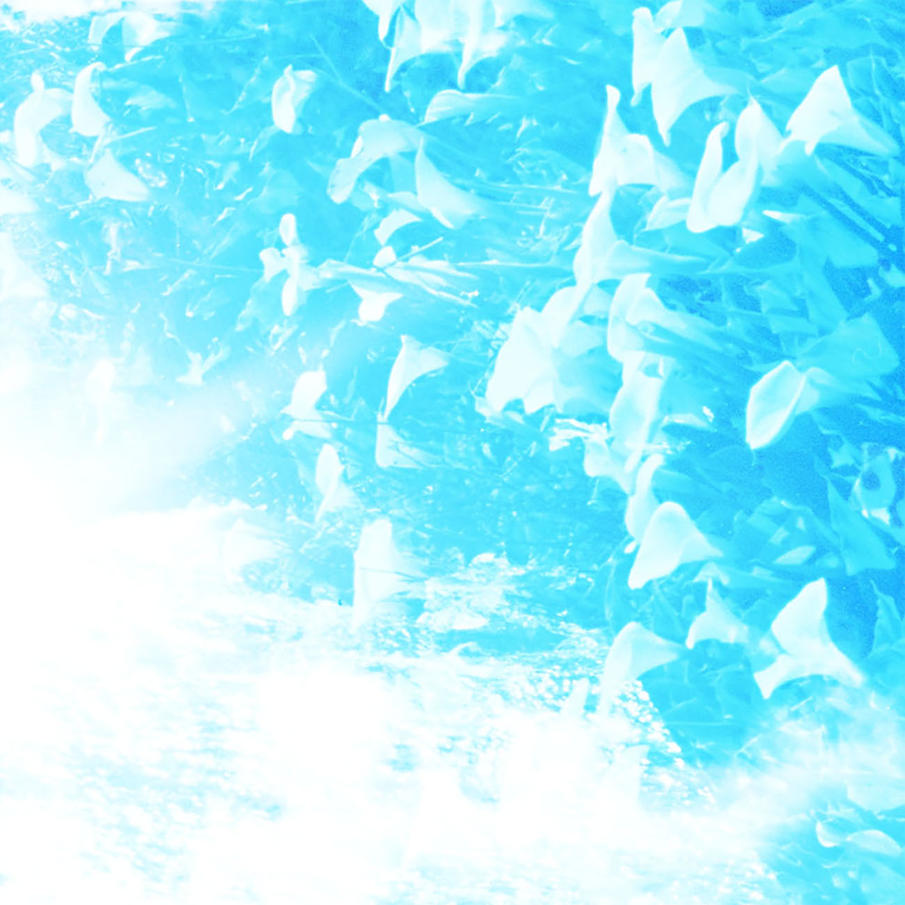 A picture of a blue ocean with a black frame.