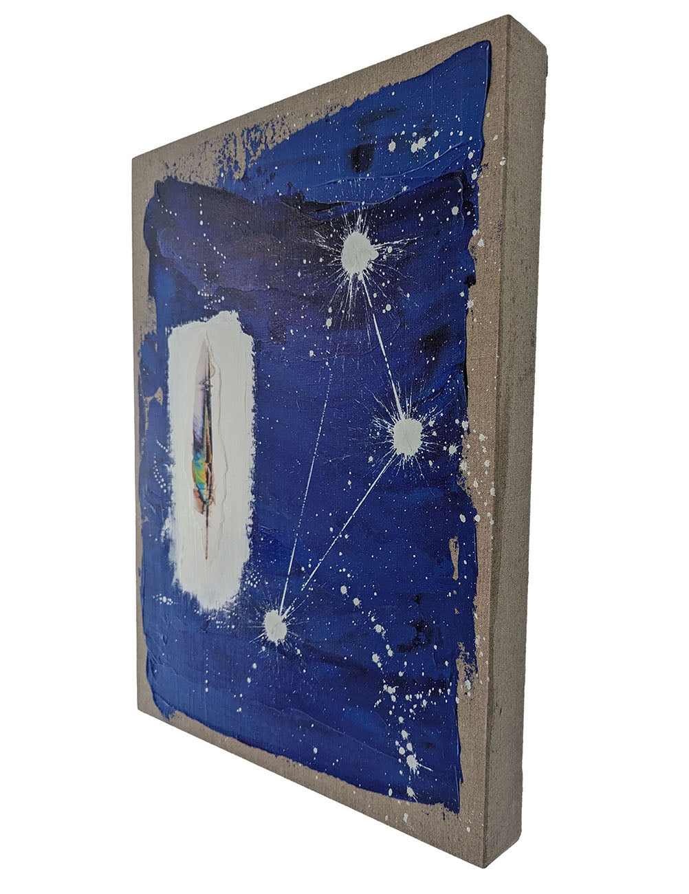 A painting of a feather on a blue background.
