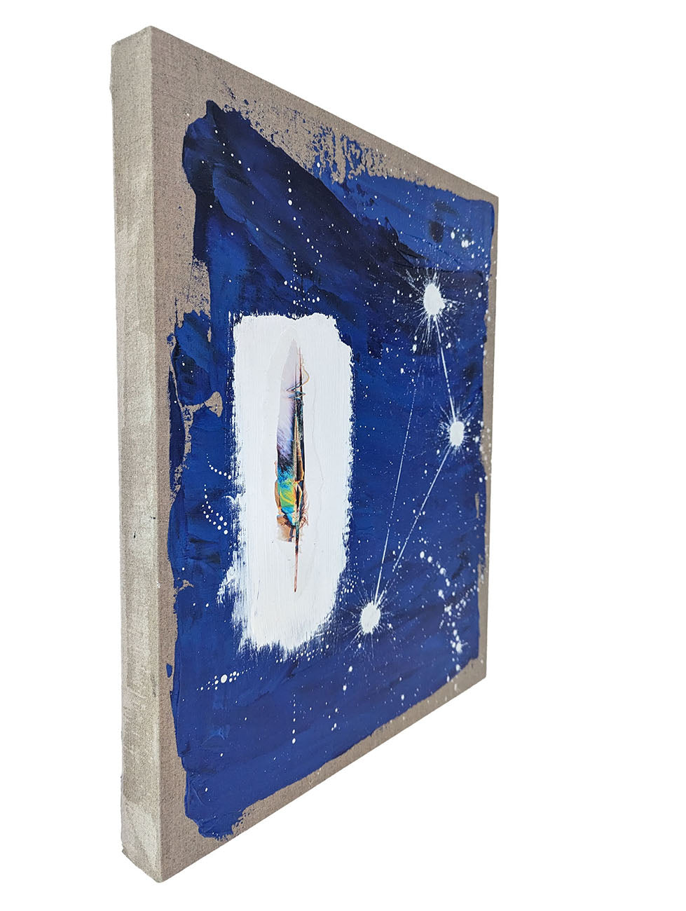A painting of a feather on a blue background.