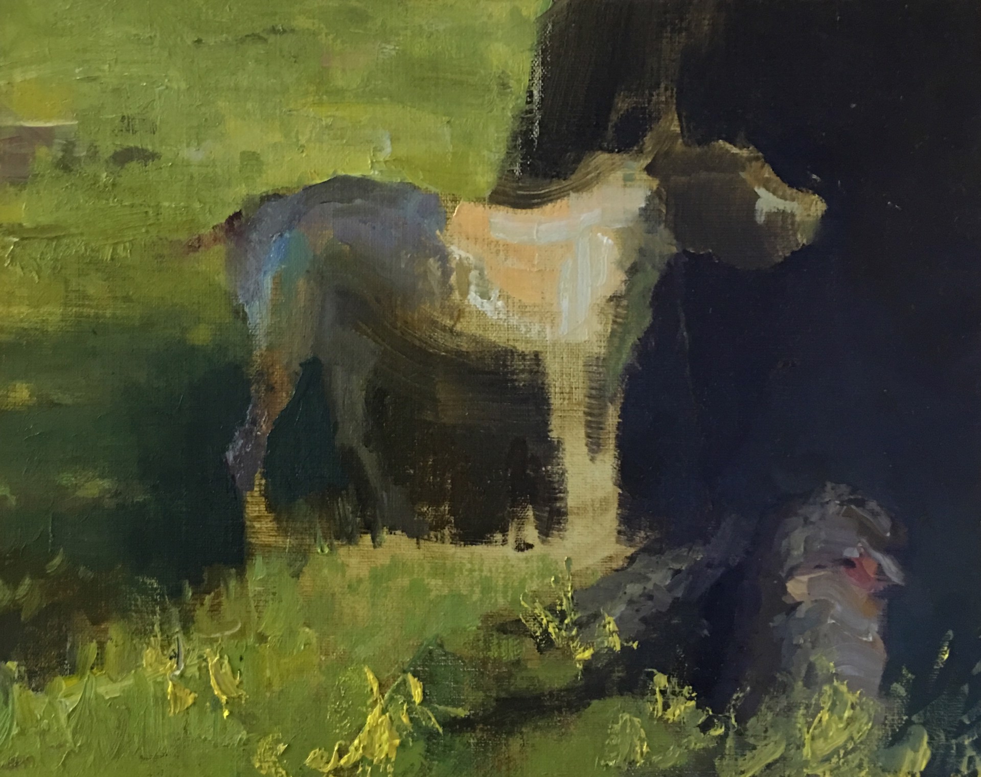 Shade by Jason Sacran, 2018