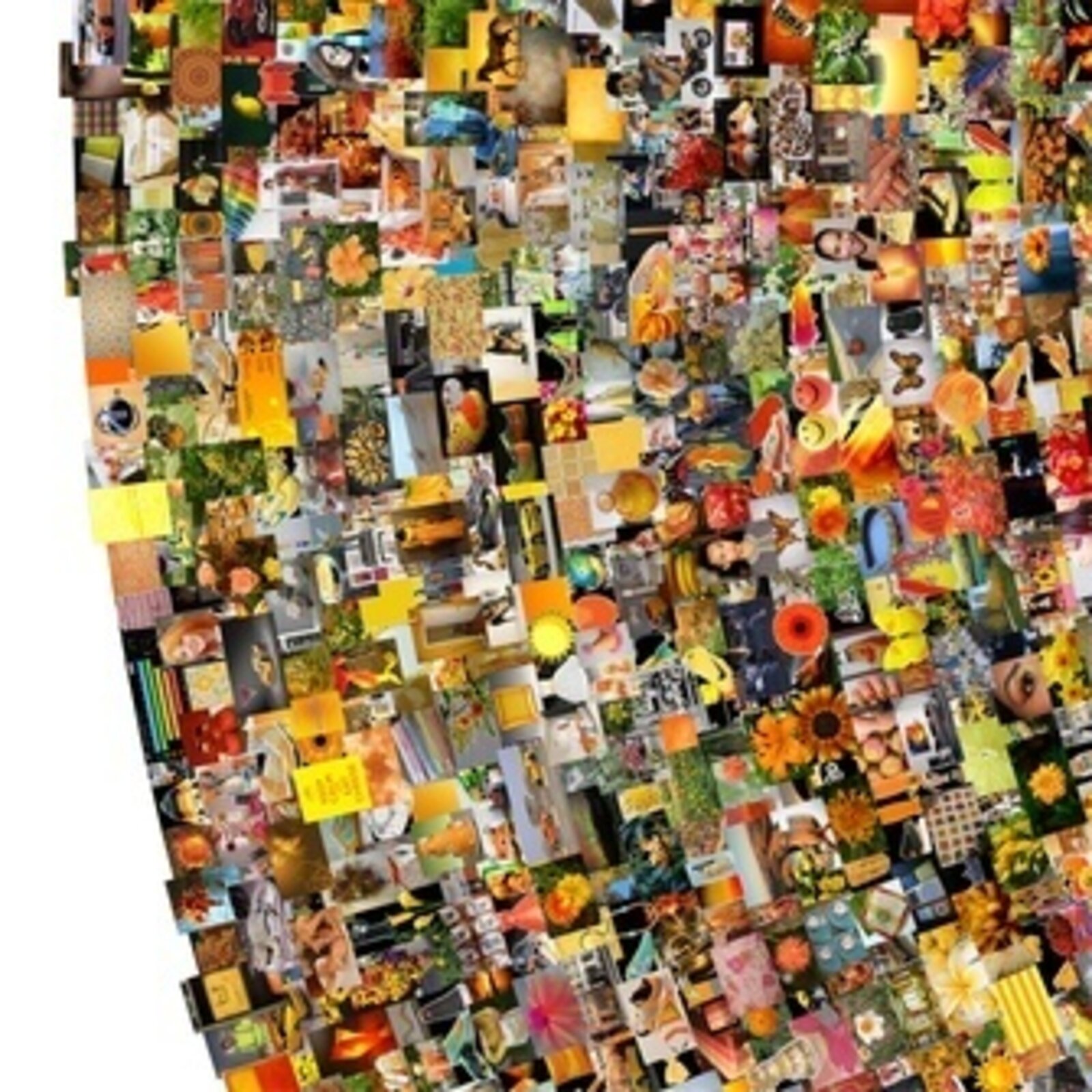 Artwork by Jason Salavon, Wheel, Made of Archival Inkjet mounted to 1/4" gator-board 