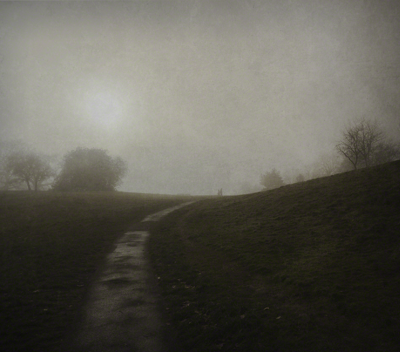 Greenwich Park #7 by Javier Molina Barrios, 2022