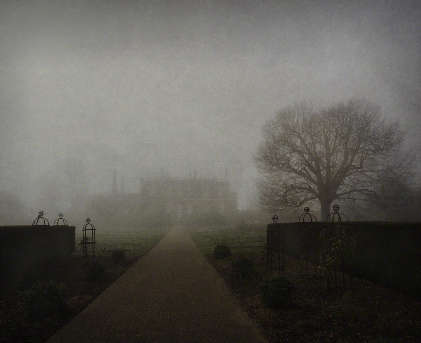 A foggy walkway leads to a large building in the distance.