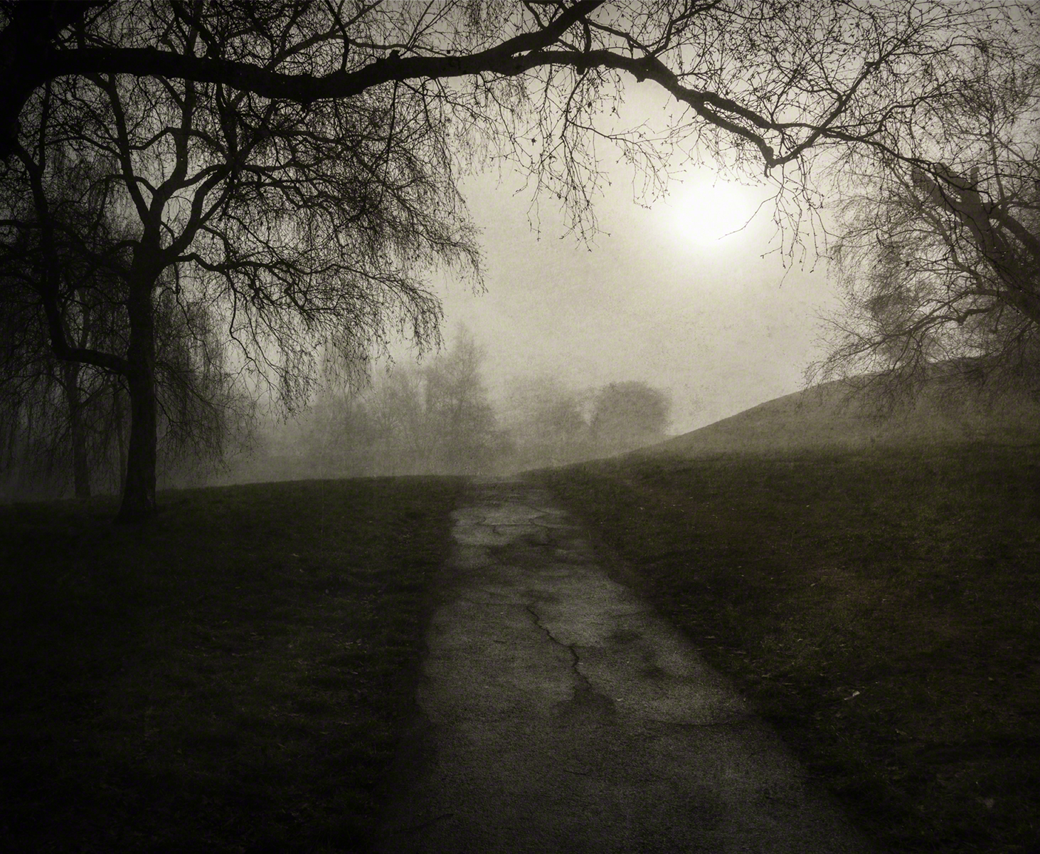Greenwich Park #9