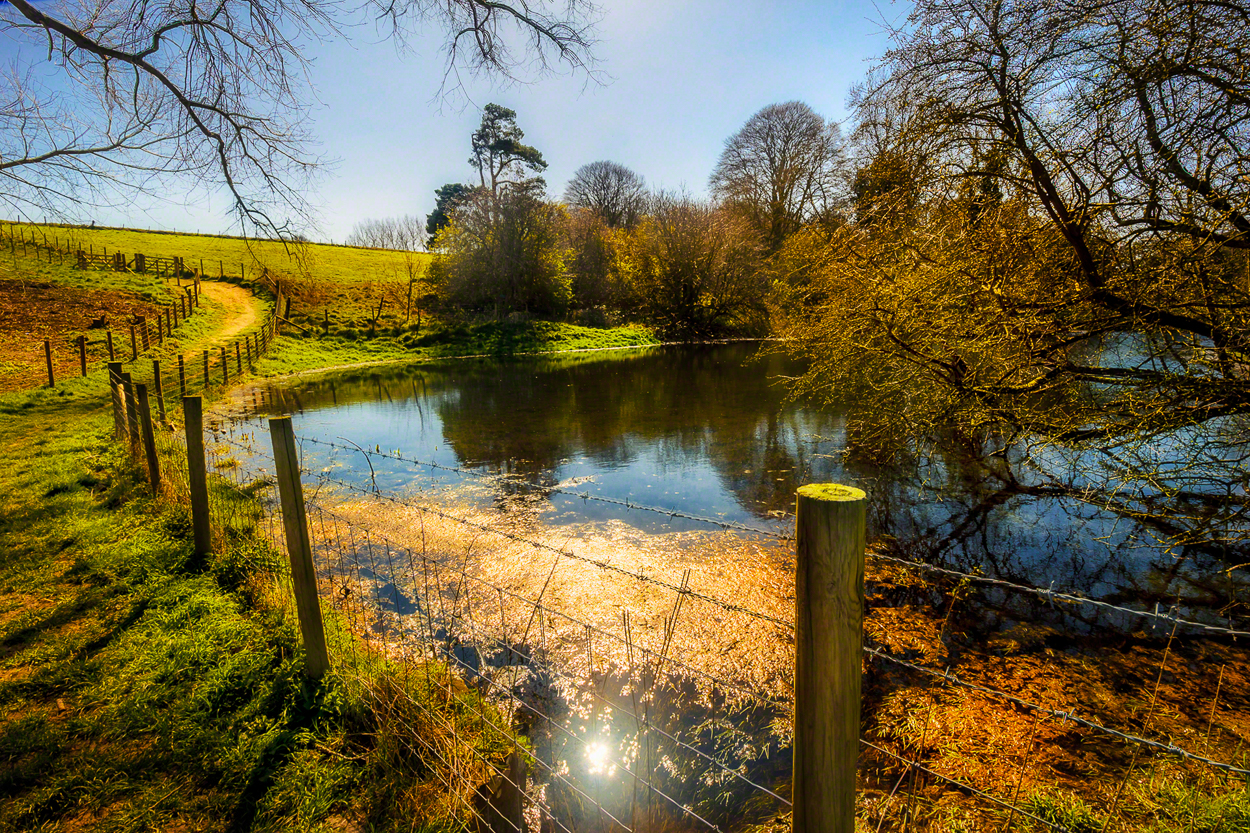 Walmer Lake by Javier Molina Barrios, 2020