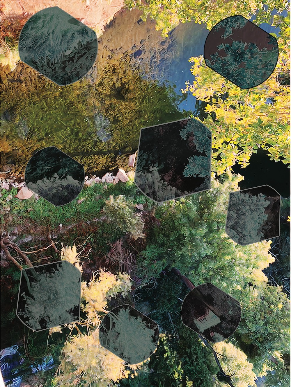 A collage of nature scenes featuring trees, water, and foliage arranged in a scattered composition.