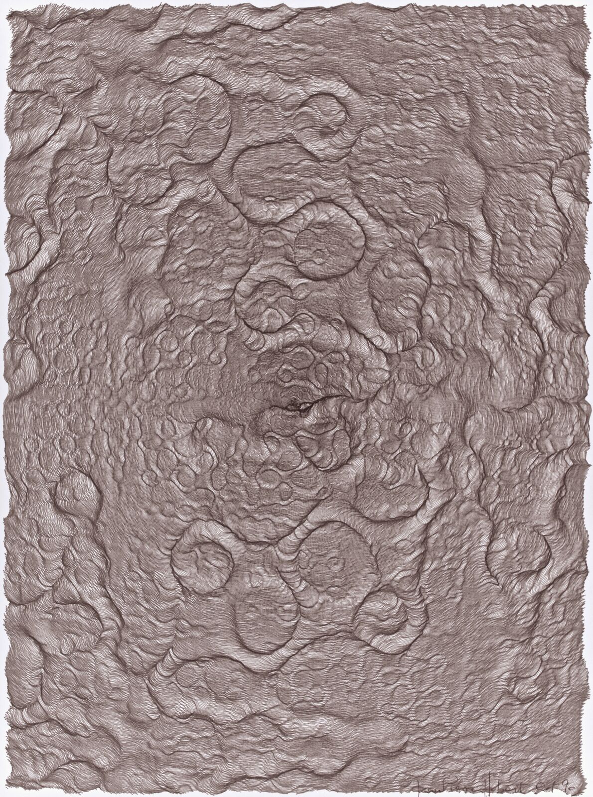 A monochromatic topographical map rendered in fine, dense lines.
