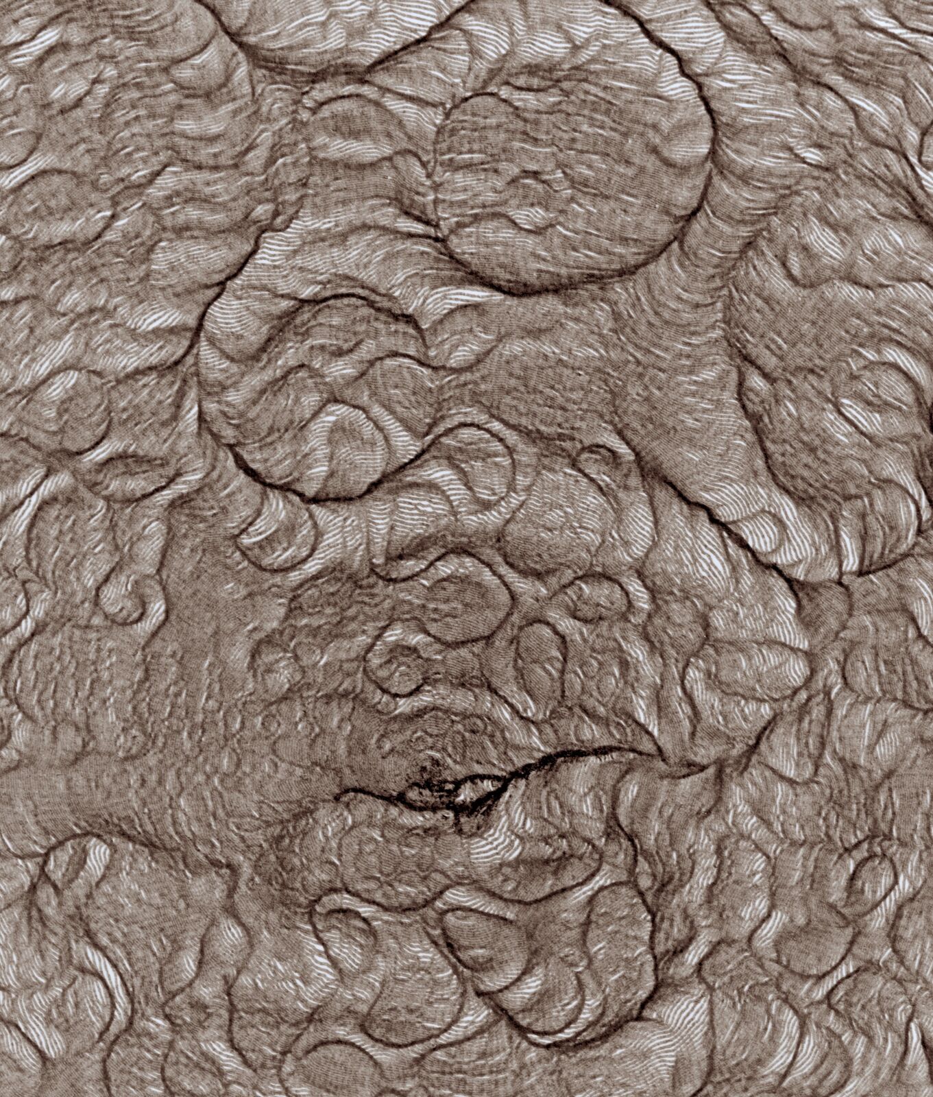 A monochromatic topographical map rendered in fine, dense lines.
