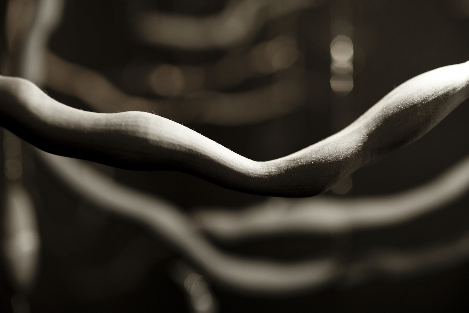 Artwork by Jeanne Quinn, You Are The Palace, You Are The Forest, Made of Porcelain, wire, paint, electrical hardware 