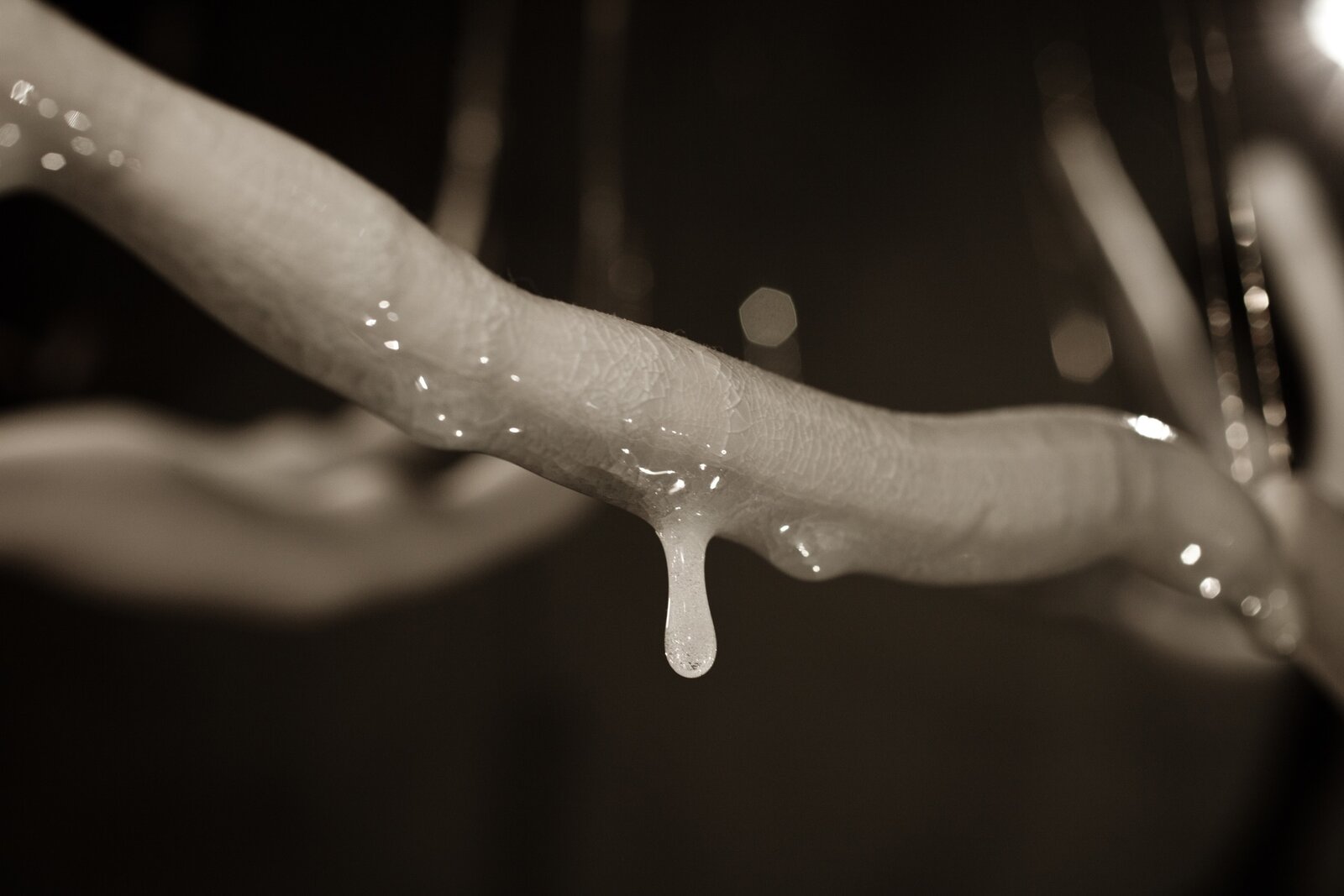 You Are The Palace, You Are The Forest by Jeanne Quinn, 2011