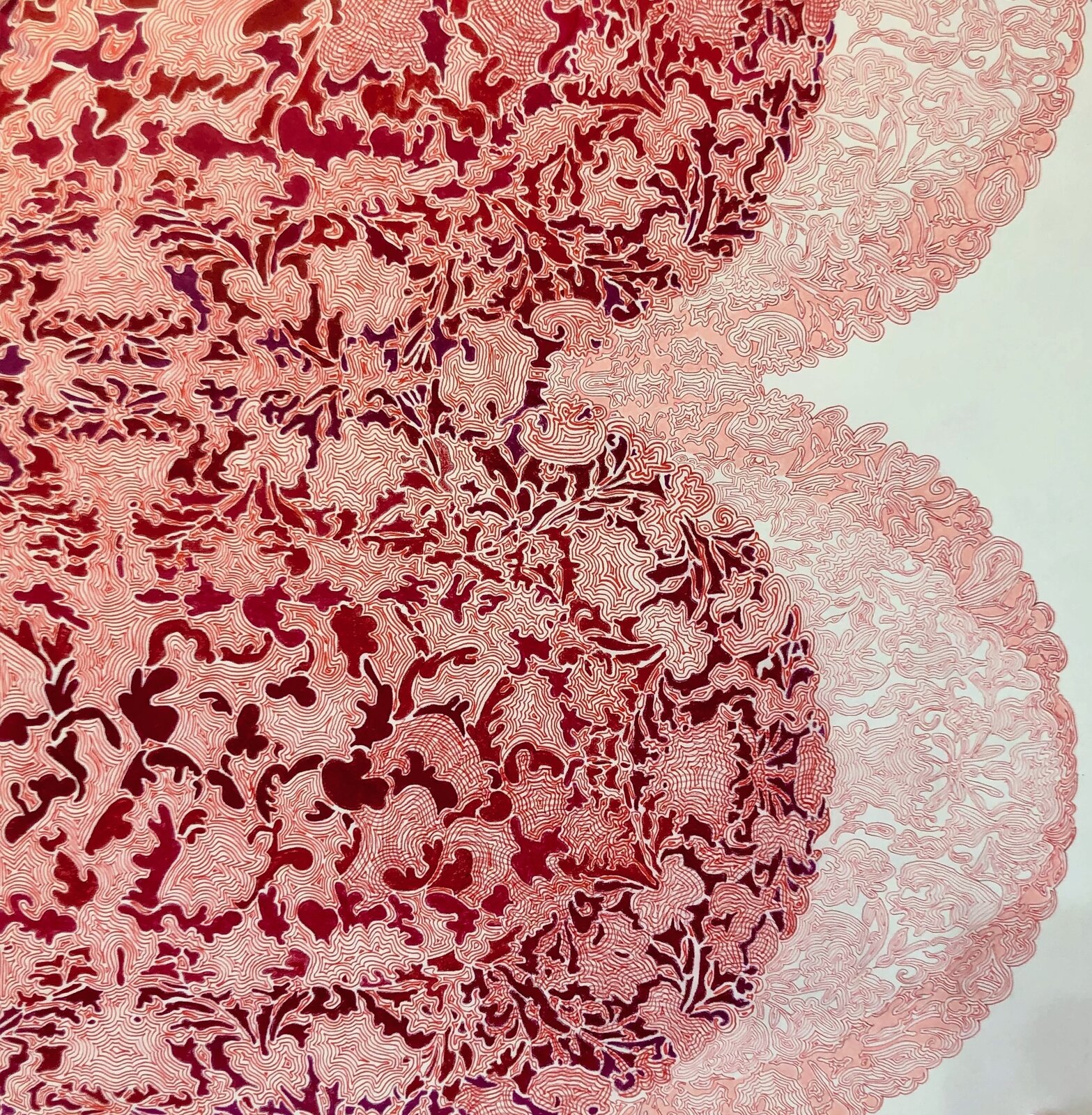 A dense, abstract composition of swirling red and pink lines on a white background.