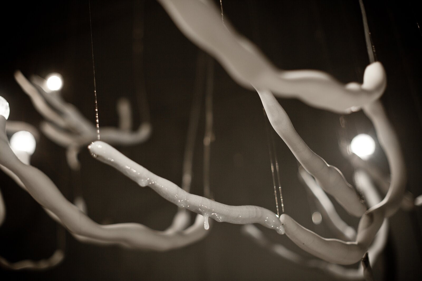 "A suspended installation of white, branch-like structures with glowing lights and floating discs in a monochromatic gallery space."