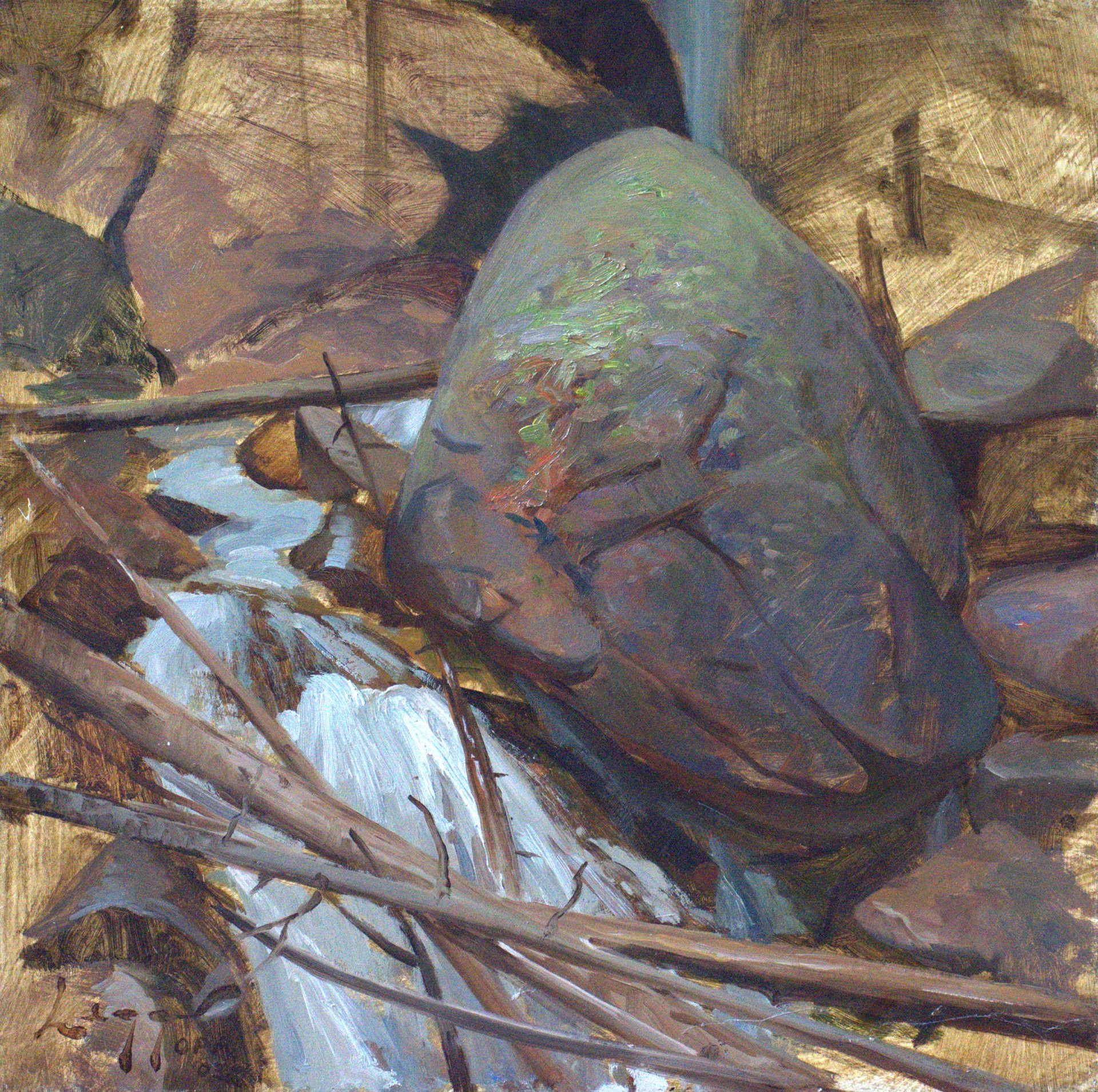 A painting of a turtle sitting on a rock by a stream.