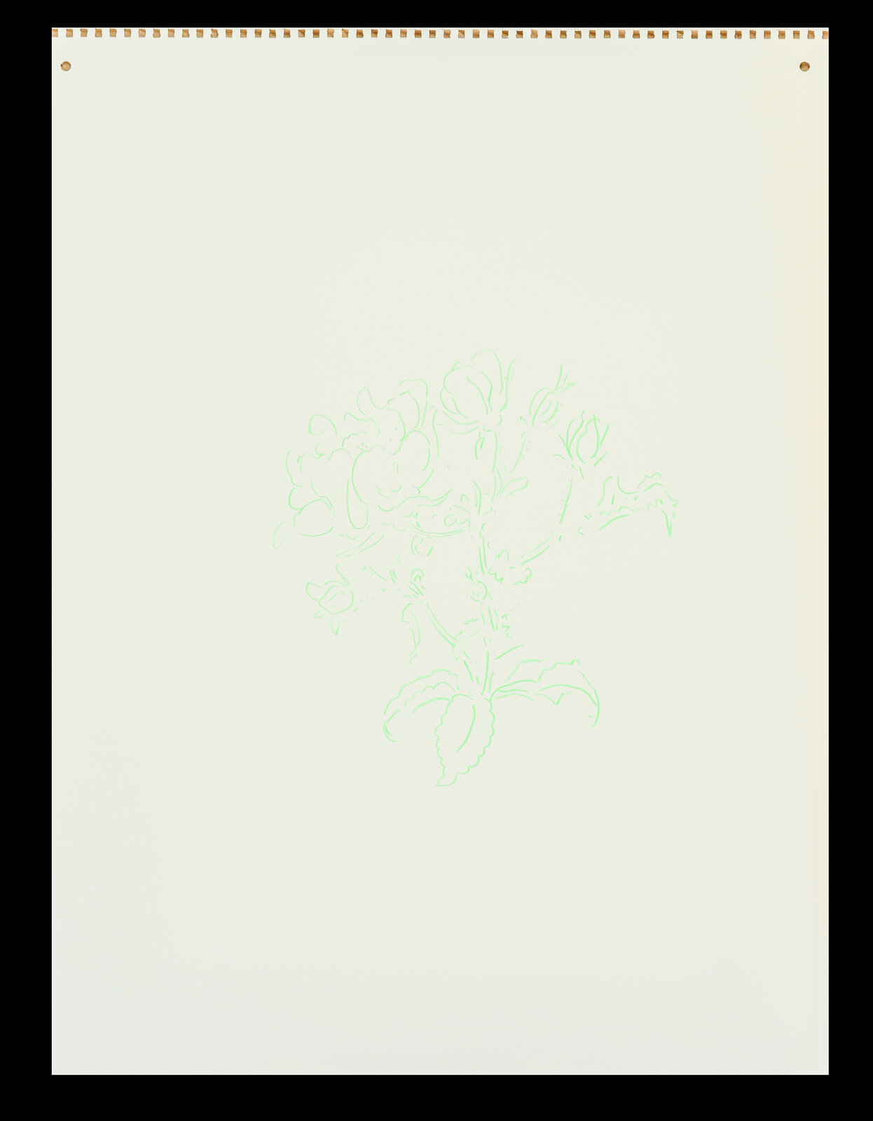 Roses, Light Green by Jeffry Mitchell, 2010