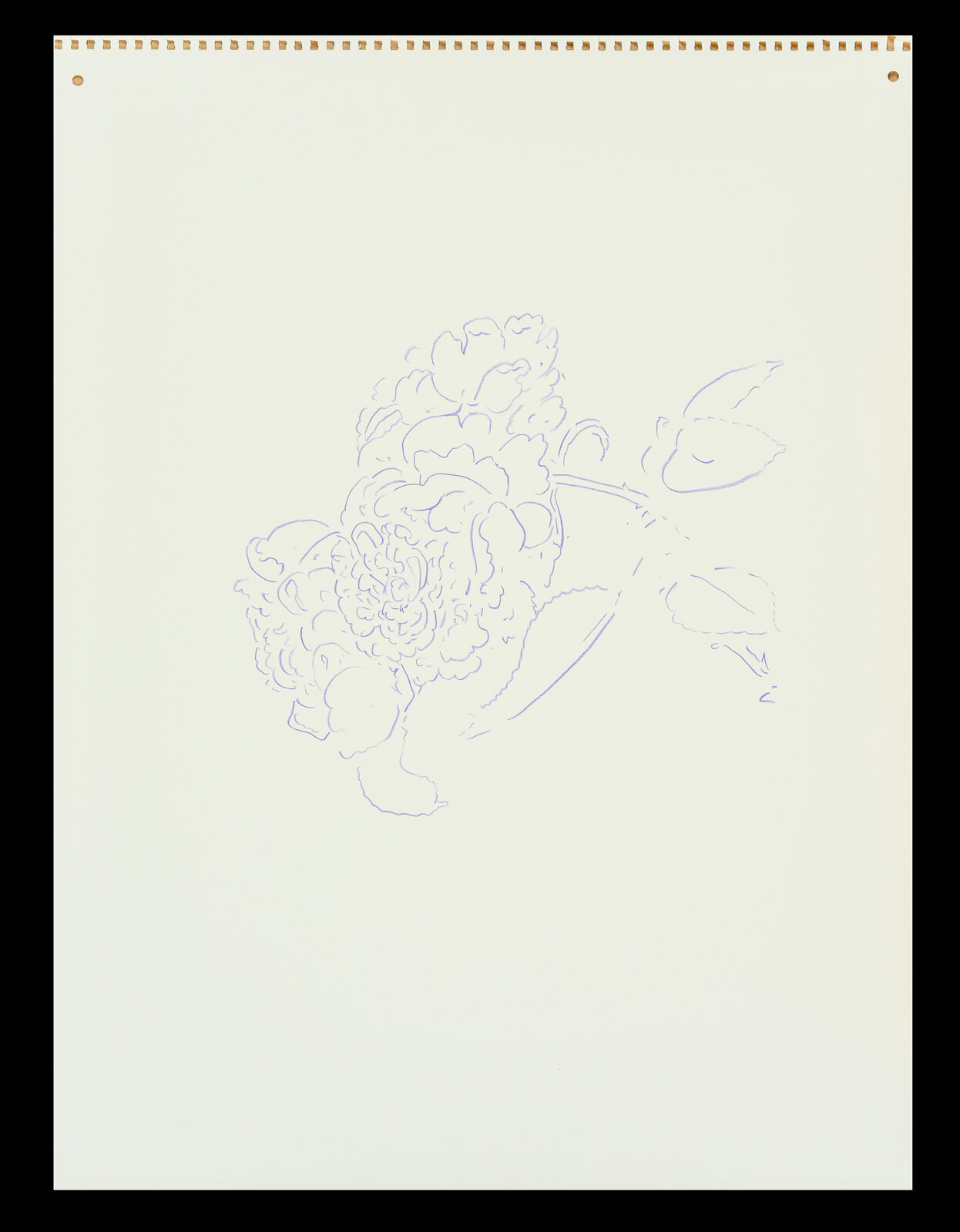 A delicate line drawing of a flower on spiral-bound paper.
