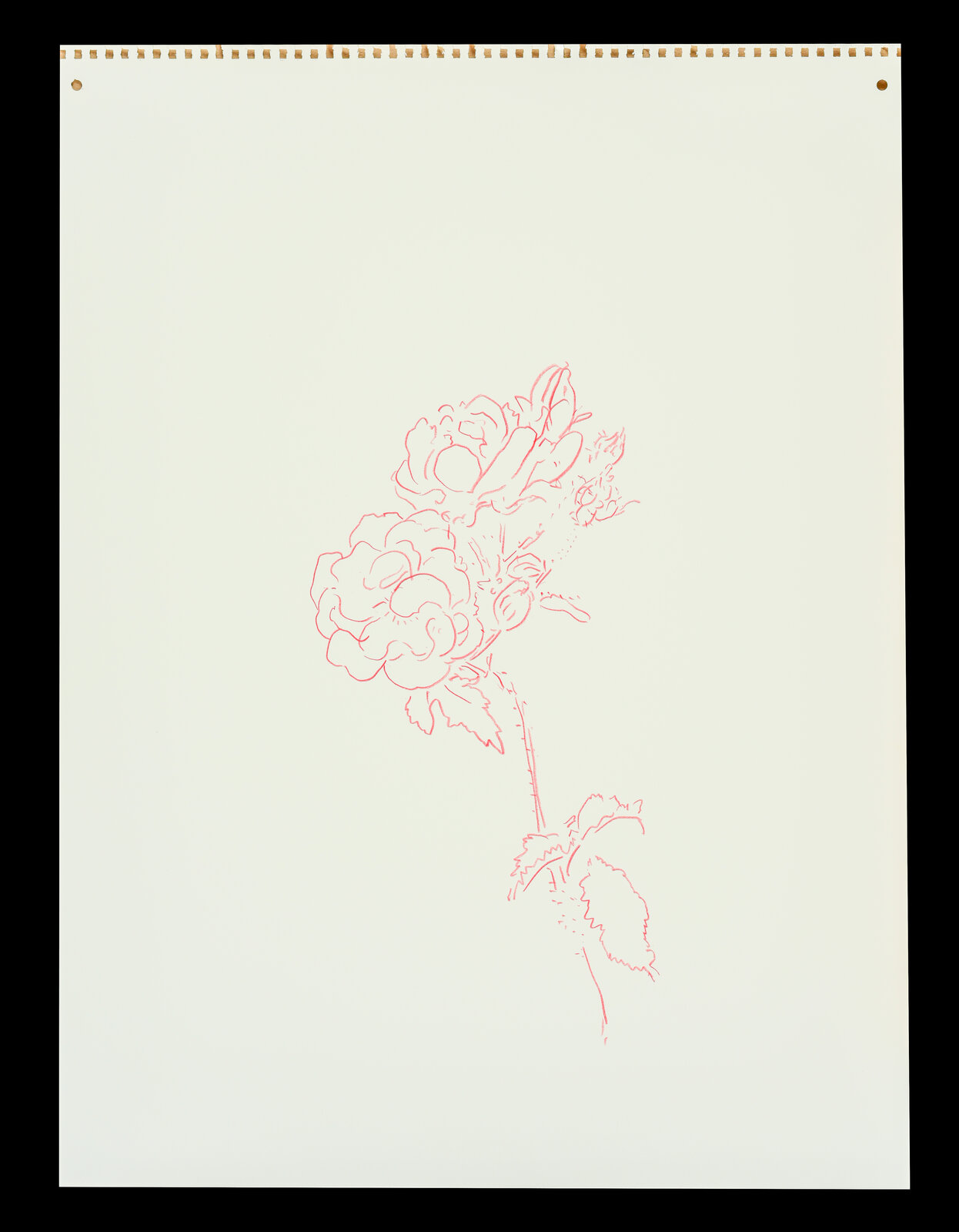 Roses and Morning Glories, Red by Jeffry Mitchell, 2010