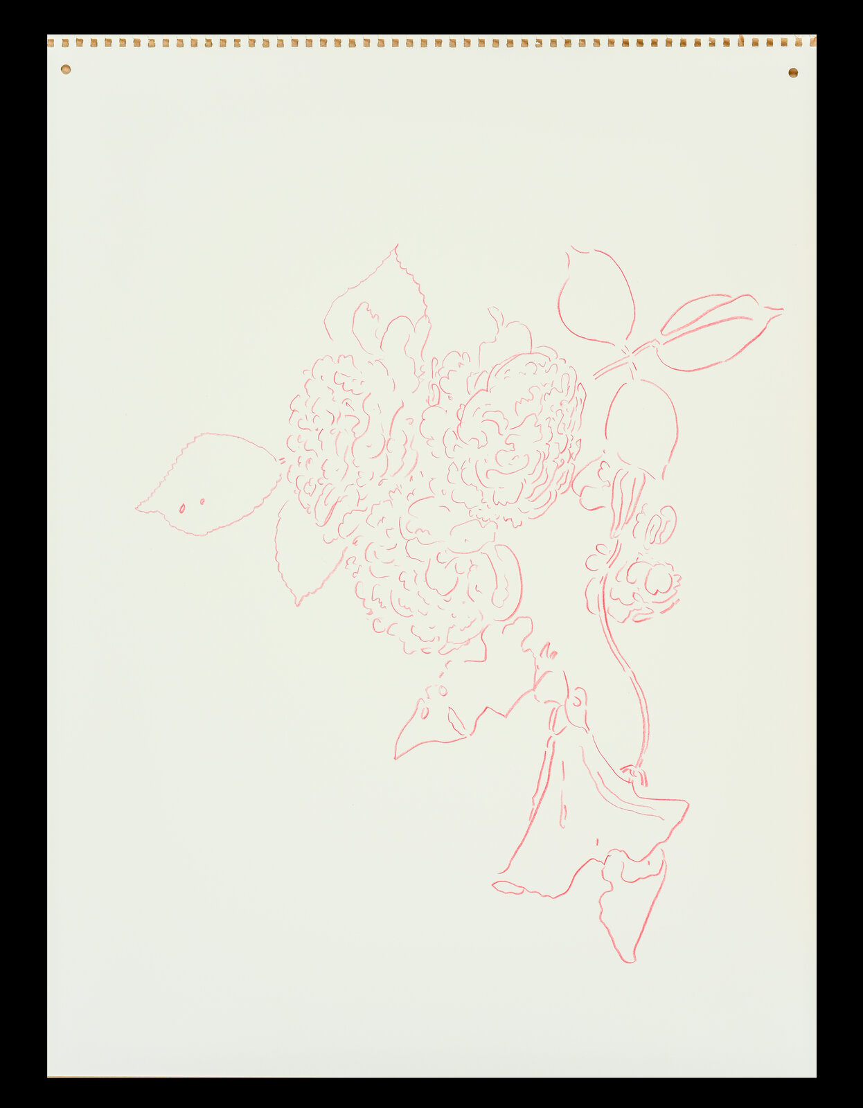 A delicate line drawing of a floral bouquet in red ink on cream paper.