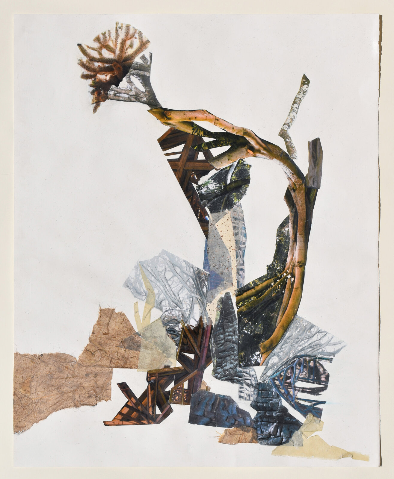 Desert Bloom by Jennifer Gunlock, 2024