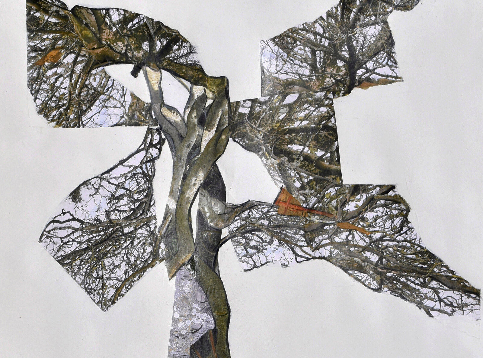 Artwork by Jennifer Gunlock, Nesting Site #1, Made of Mixed media paper collage and drawing on rag paper 