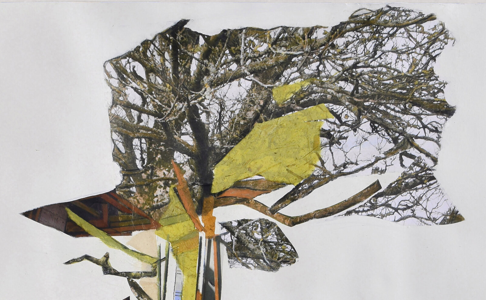 Artwork by Jennifer Gunlock, Nesting Site #2, Made of Mixed media paper collage and drawing on rag paper 