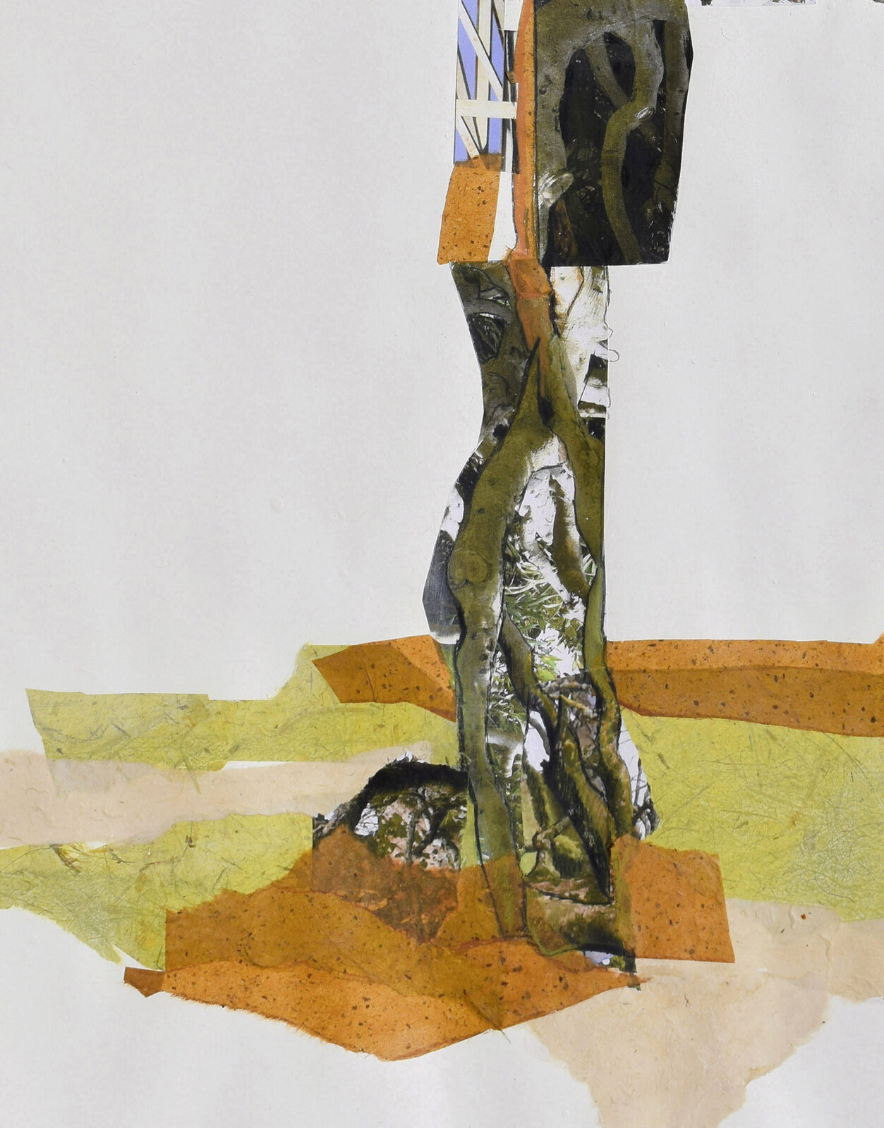 Artwork by Jennifer Gunlock, Nesting Site #2, Made of Mixed media paper collage and drawing on rag paper 