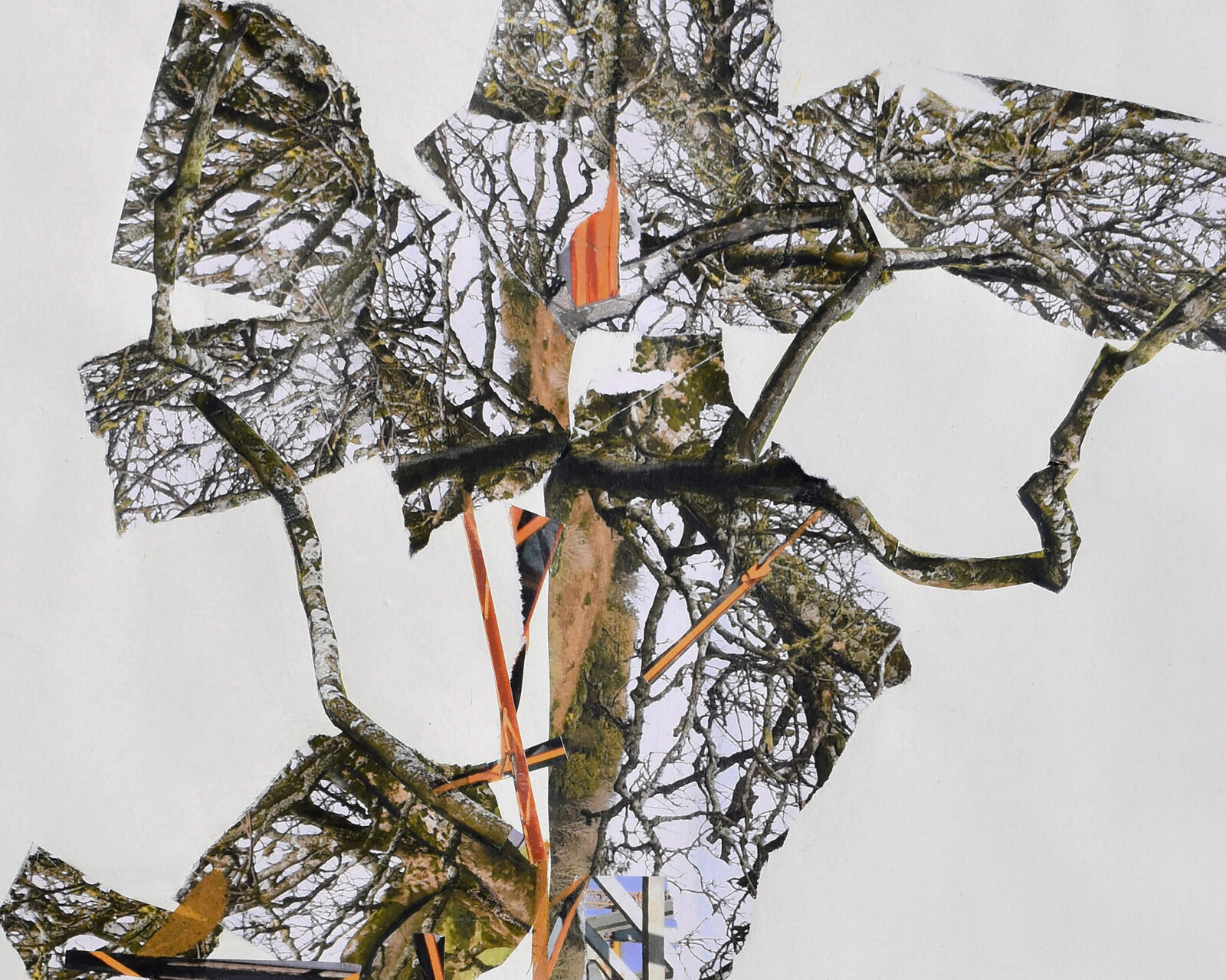 A collage-style landscape featuring a central tree with abstract geometric forms and a muted color palette.