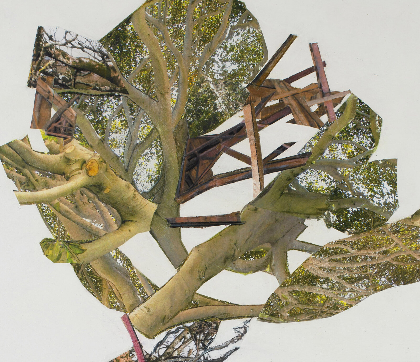 Artwork by Jennifer Gunlock, Sapling II, Made of Mixed media paper collage and drawing on panel 