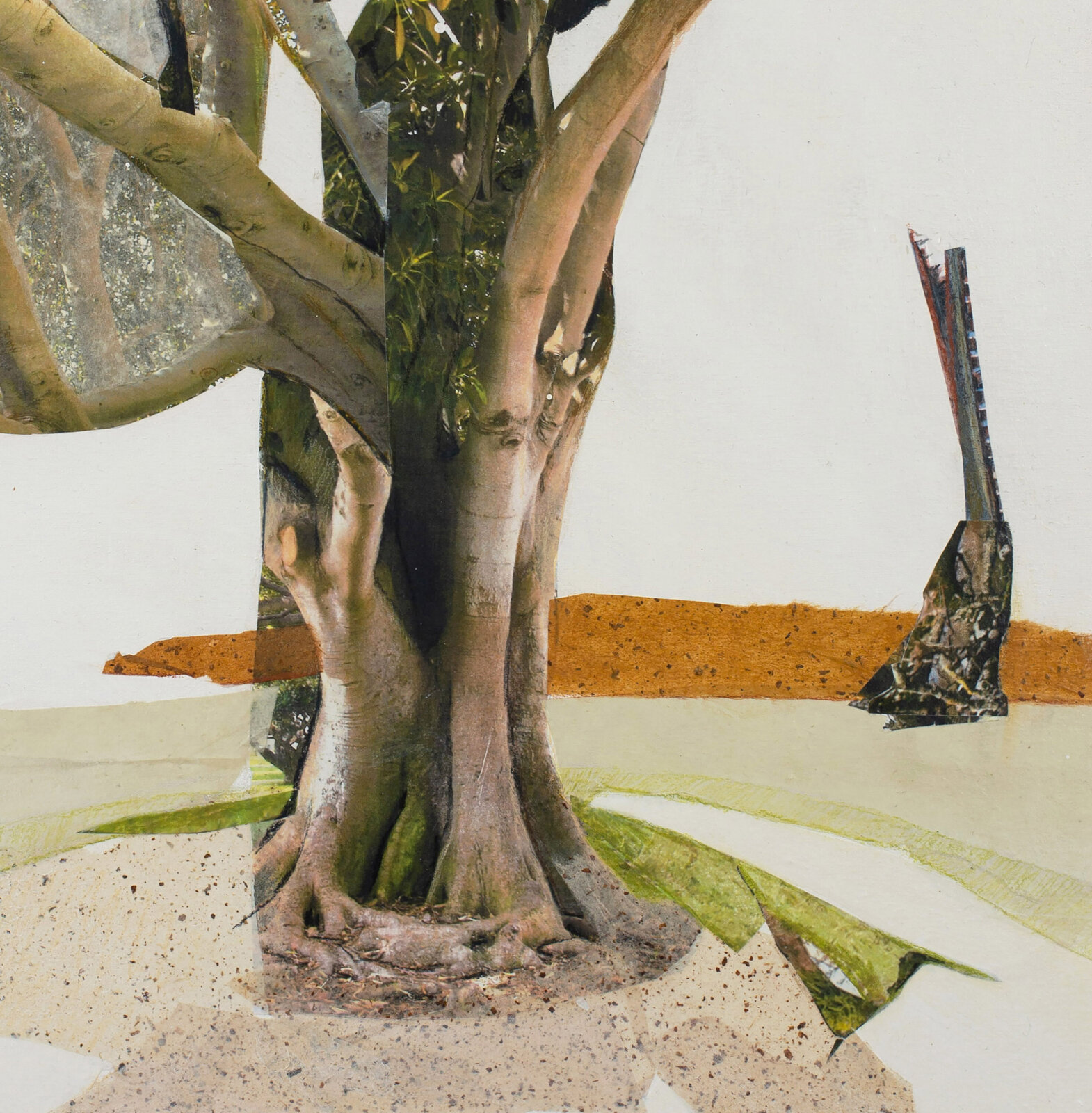 Artwork by Jennifer Gunlock, Sapling IV, Made of Mixed media paper collage and drawing on panel 