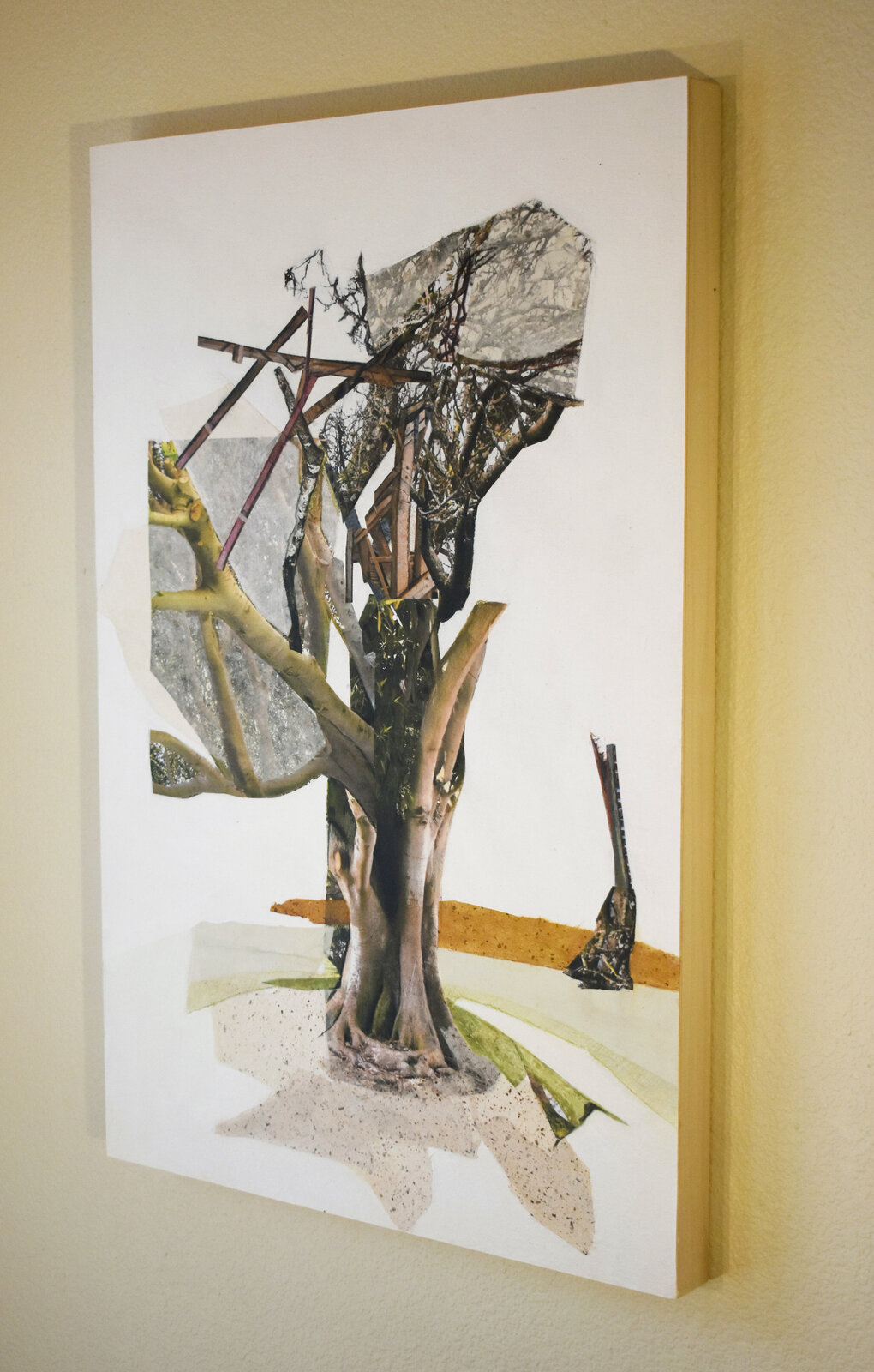 Artwork by Jennifer Gunlock, Sapling IV, Made of Mixed media paper collage and drawing on panel 