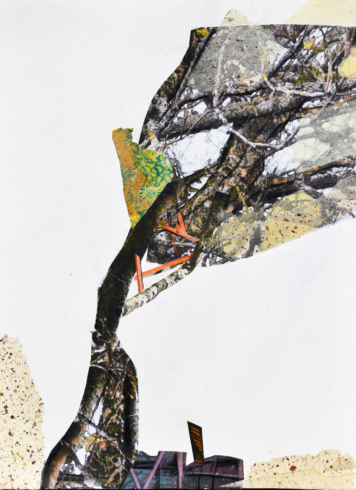 A mixed-media collage of a tree trunk with abstract elements and urban fragments.