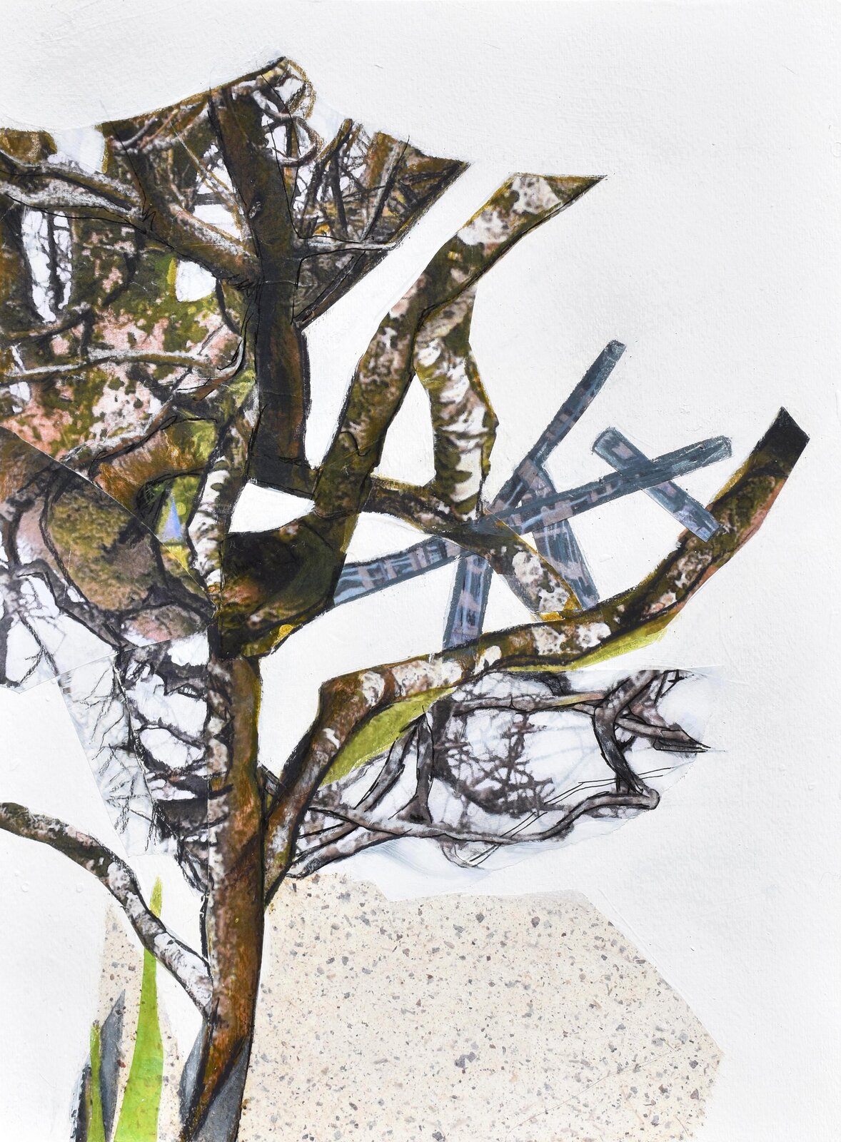 A mixed-media collage of a tree with urban elements and architectural fragments.