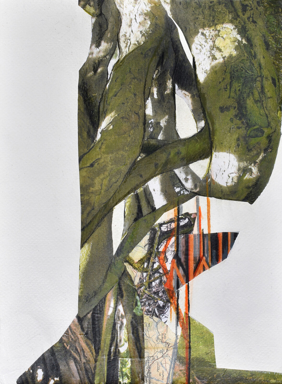 Transplant Series XXVI by Jennifer Gunlock, 2024